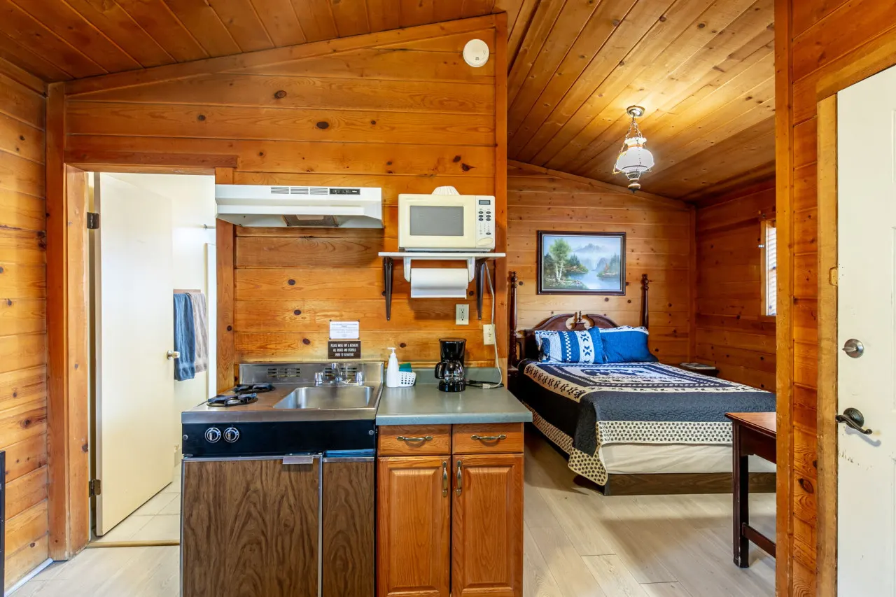 Baby Bear Cove - Cozy Hollow Lodge #7 2