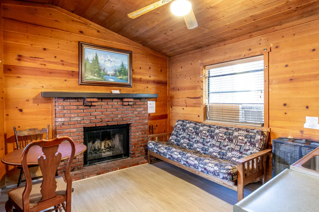 Baby Bear Cove - Cozy Hollow Lodge #7 4
