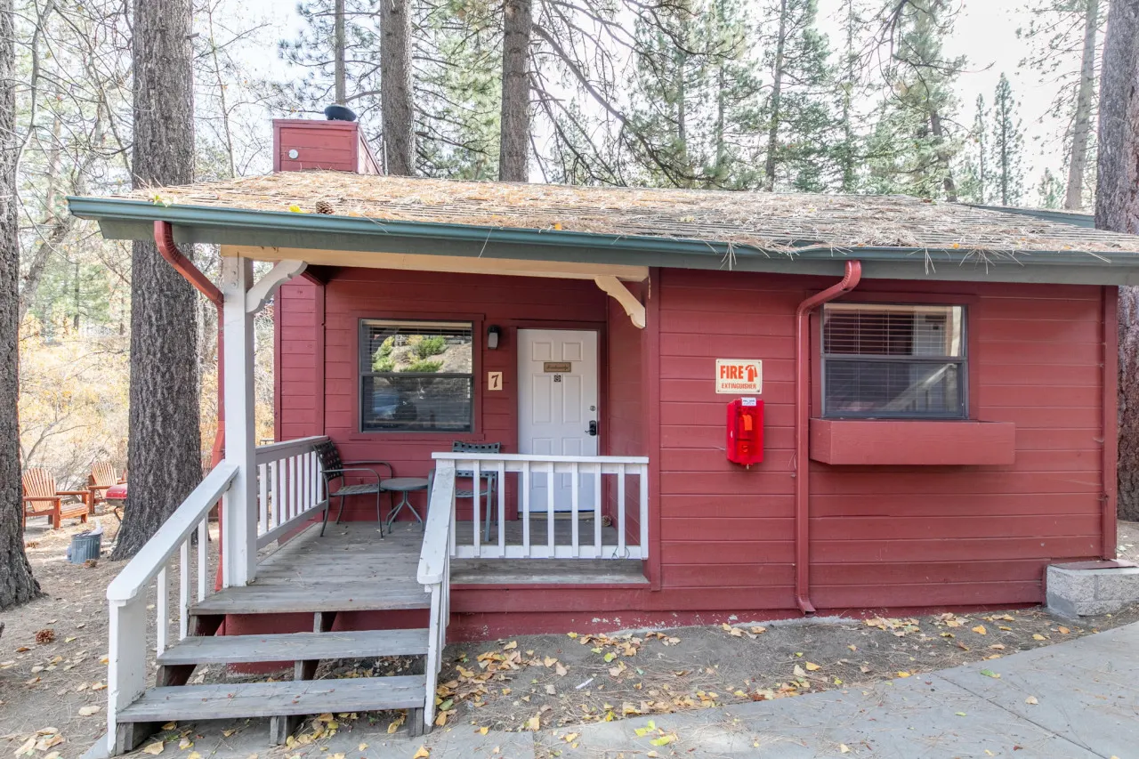 Baby Bear Cove - Cozy Hollow Lodge #7 5