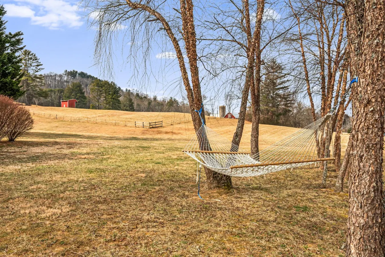 Serene Home on Horse Farm Unique Views & Nature 8