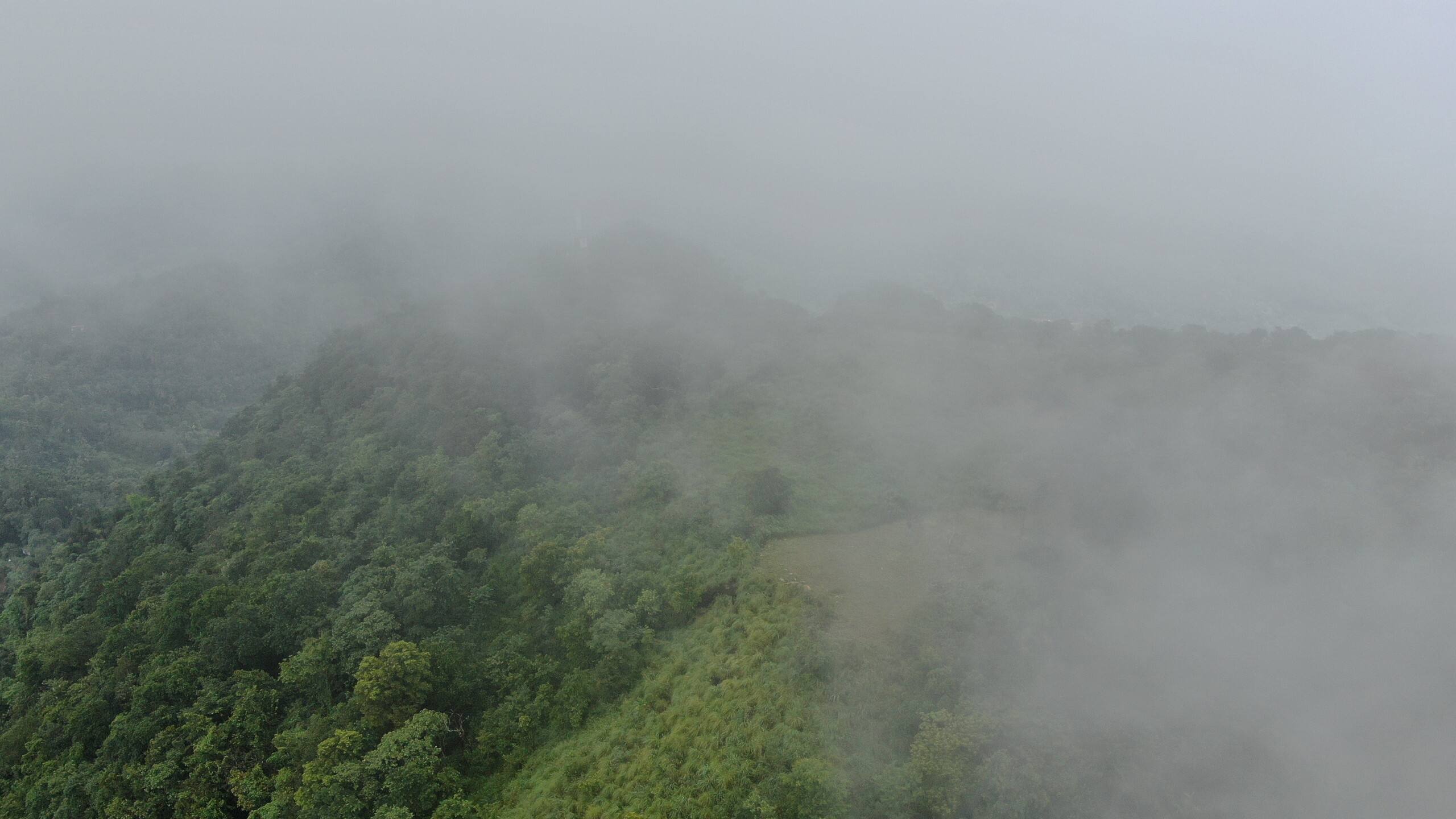Cloud Nest on Tabor Hills 26