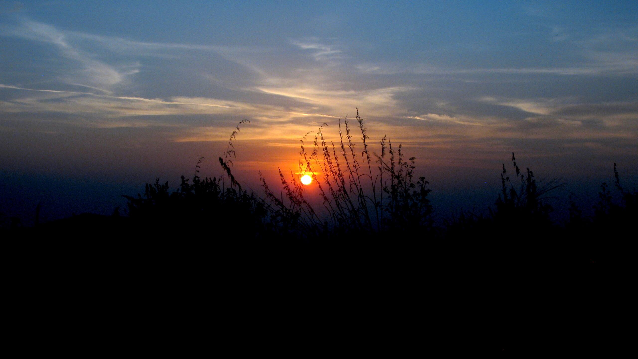 Cloud Nest on Tabor Hills 29