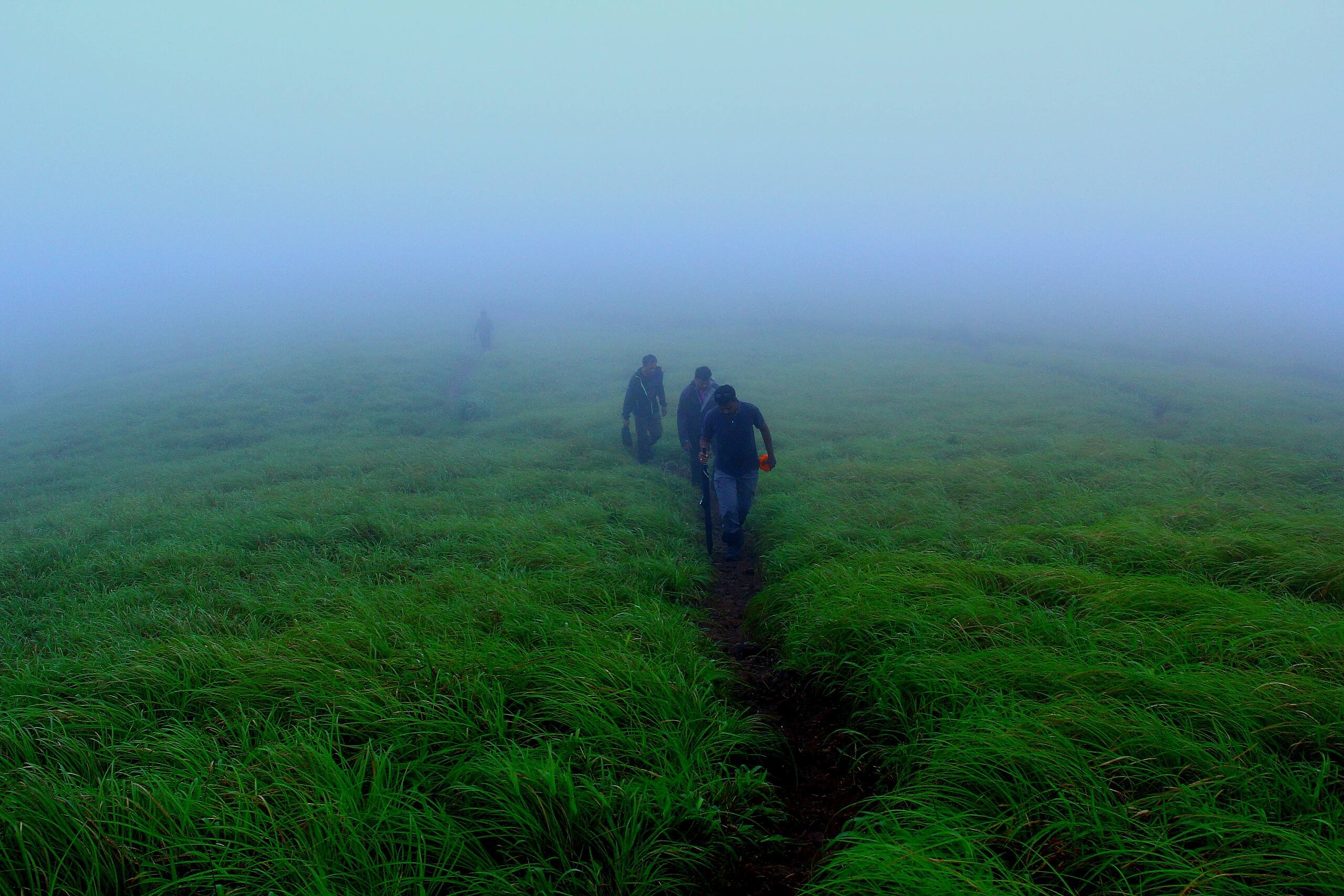 Cloud Nest on Tabor Hills 28