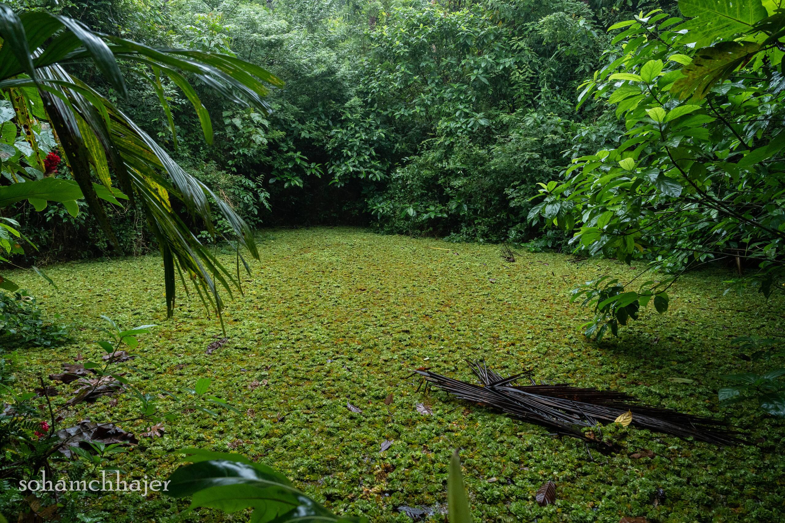 Varanashi Organic Farms | Eco-Tree House 19
