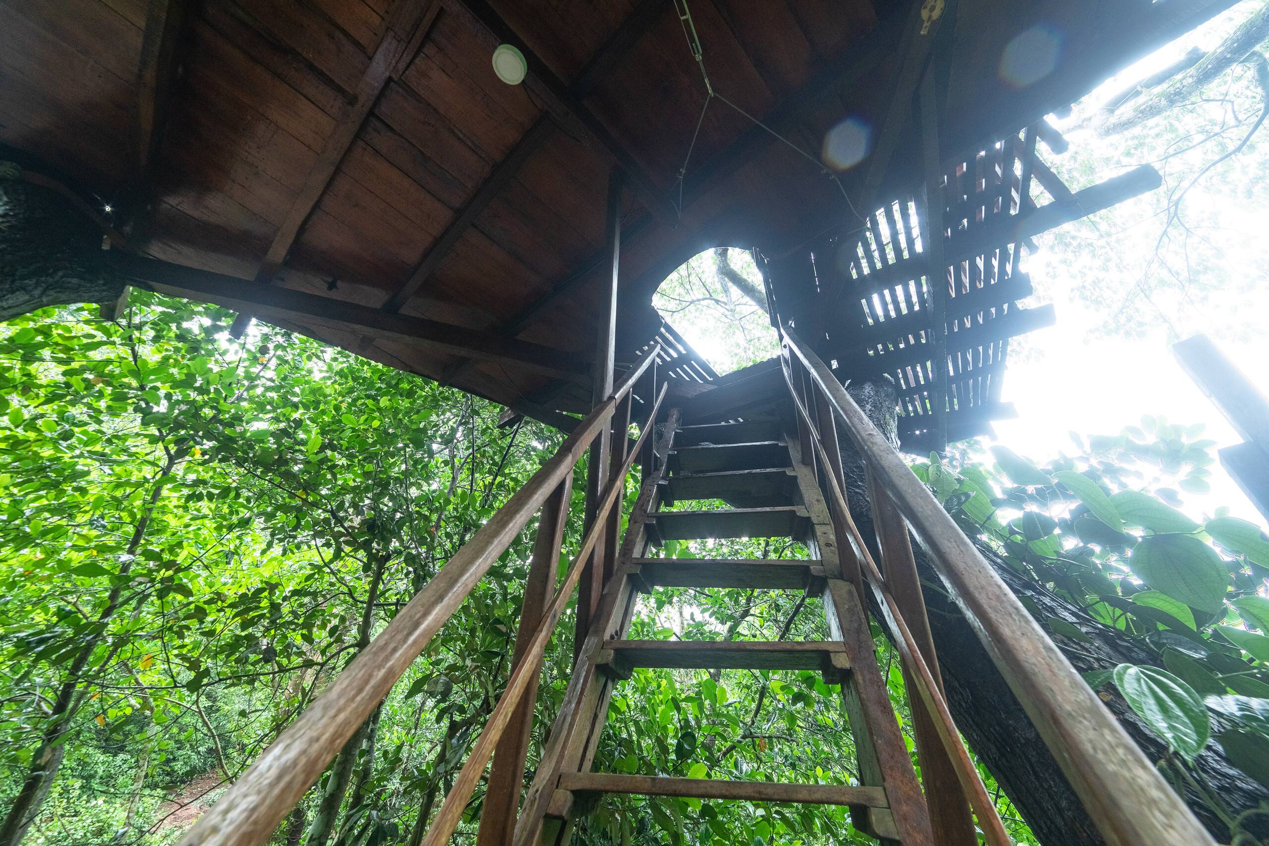 Varanashi Organic Farms | Eco-Tree House 11