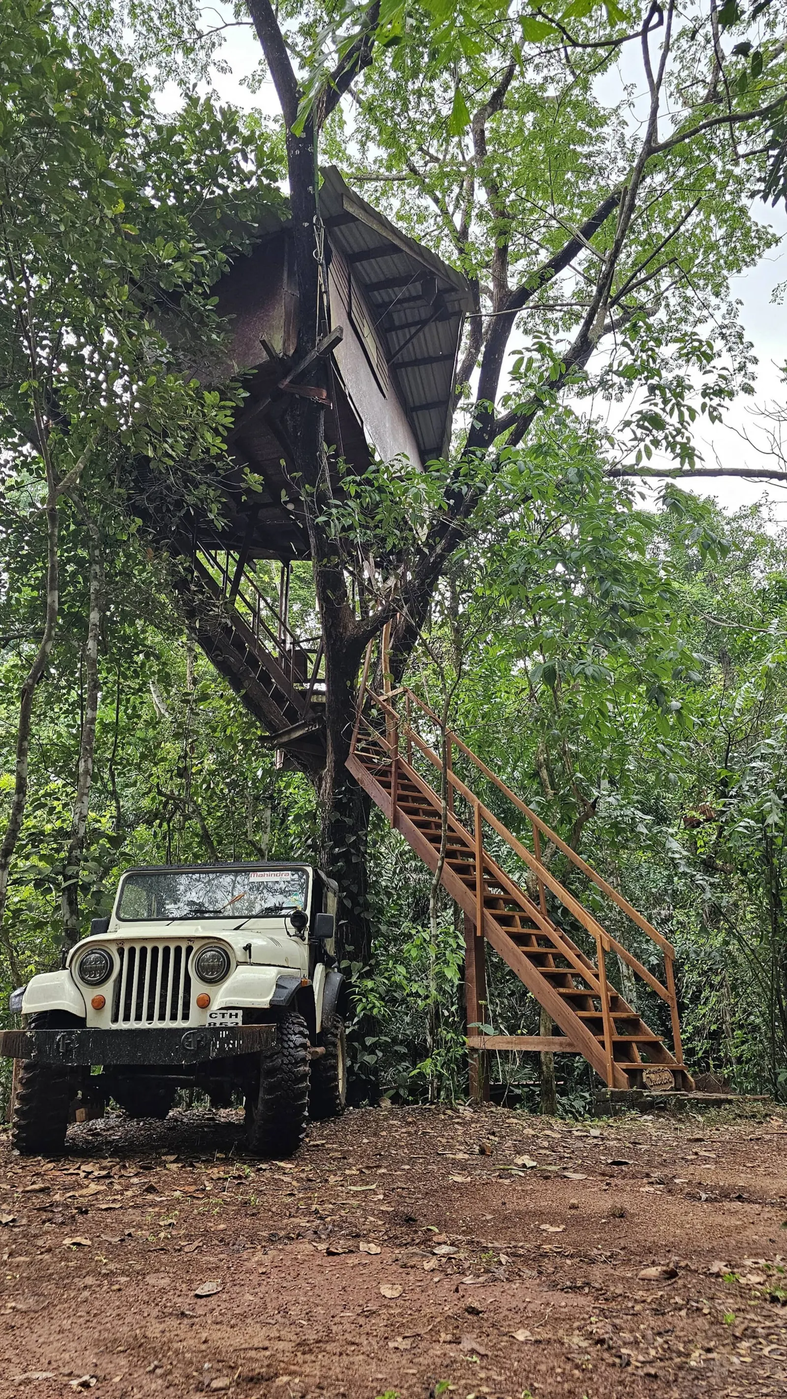 Varanashi Organic Farms Eco-Tree House 4