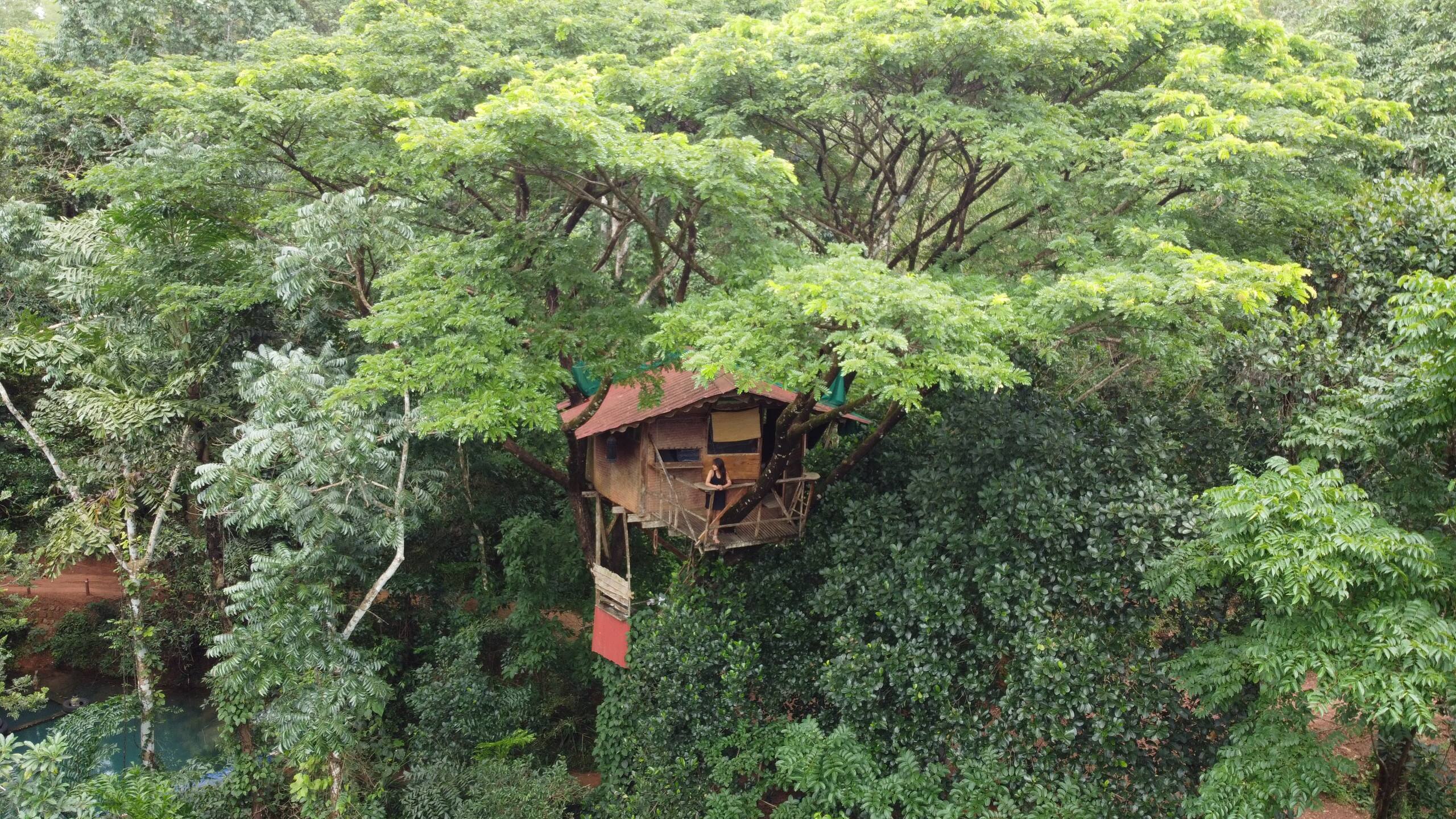 Varanashi Organic Farms | Eco-Tree House