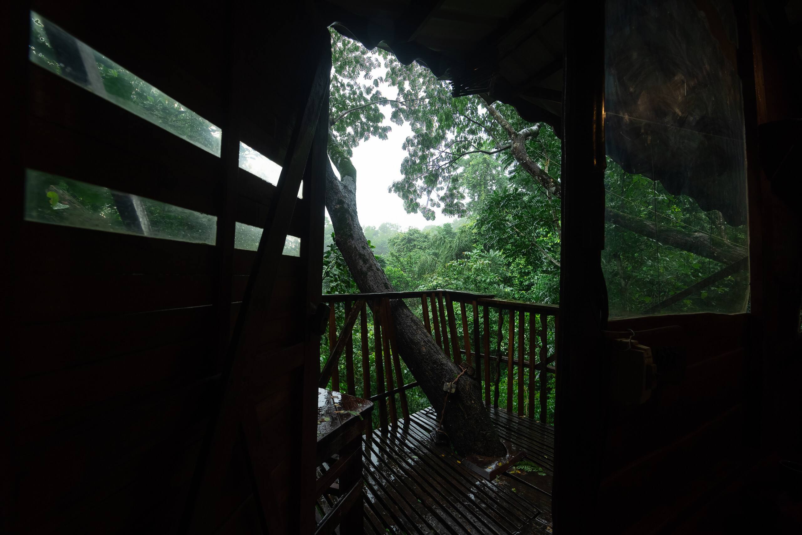 Varanashi Organic Farms | Eco-Tree House 14