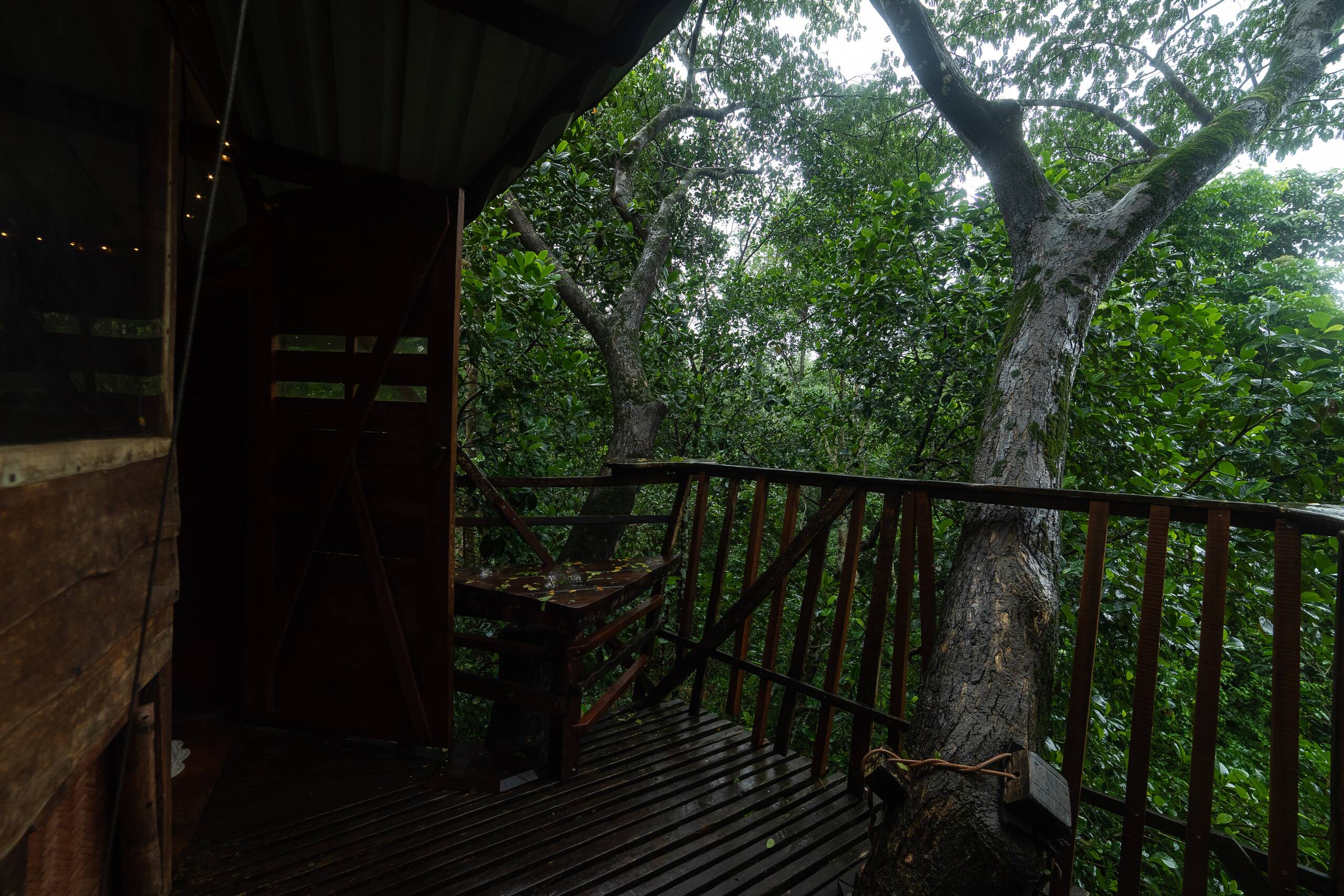 Varanashi Organic Farms | Eco-Tree House 15