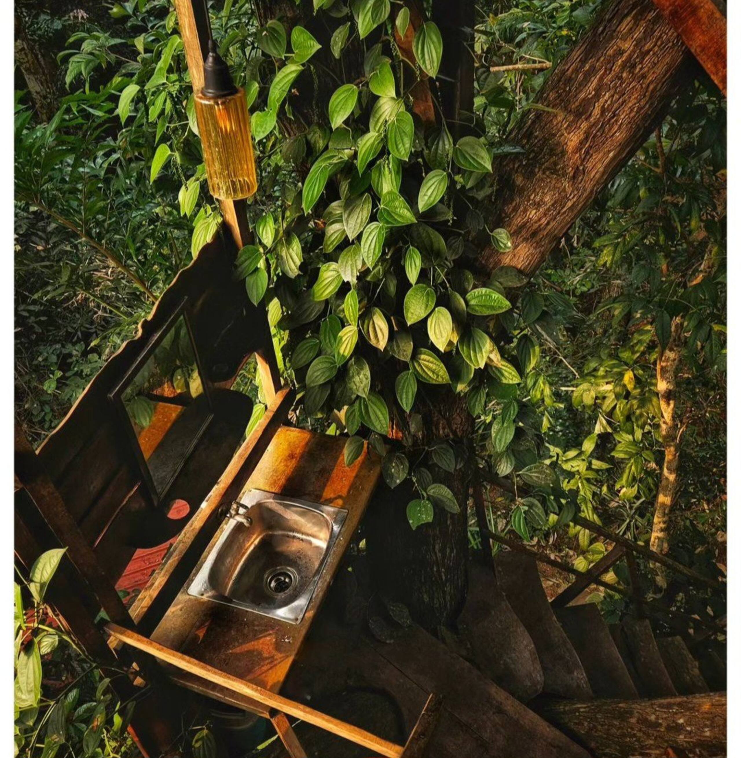 Varanashi Organic Farms | Eco-Tree House 5