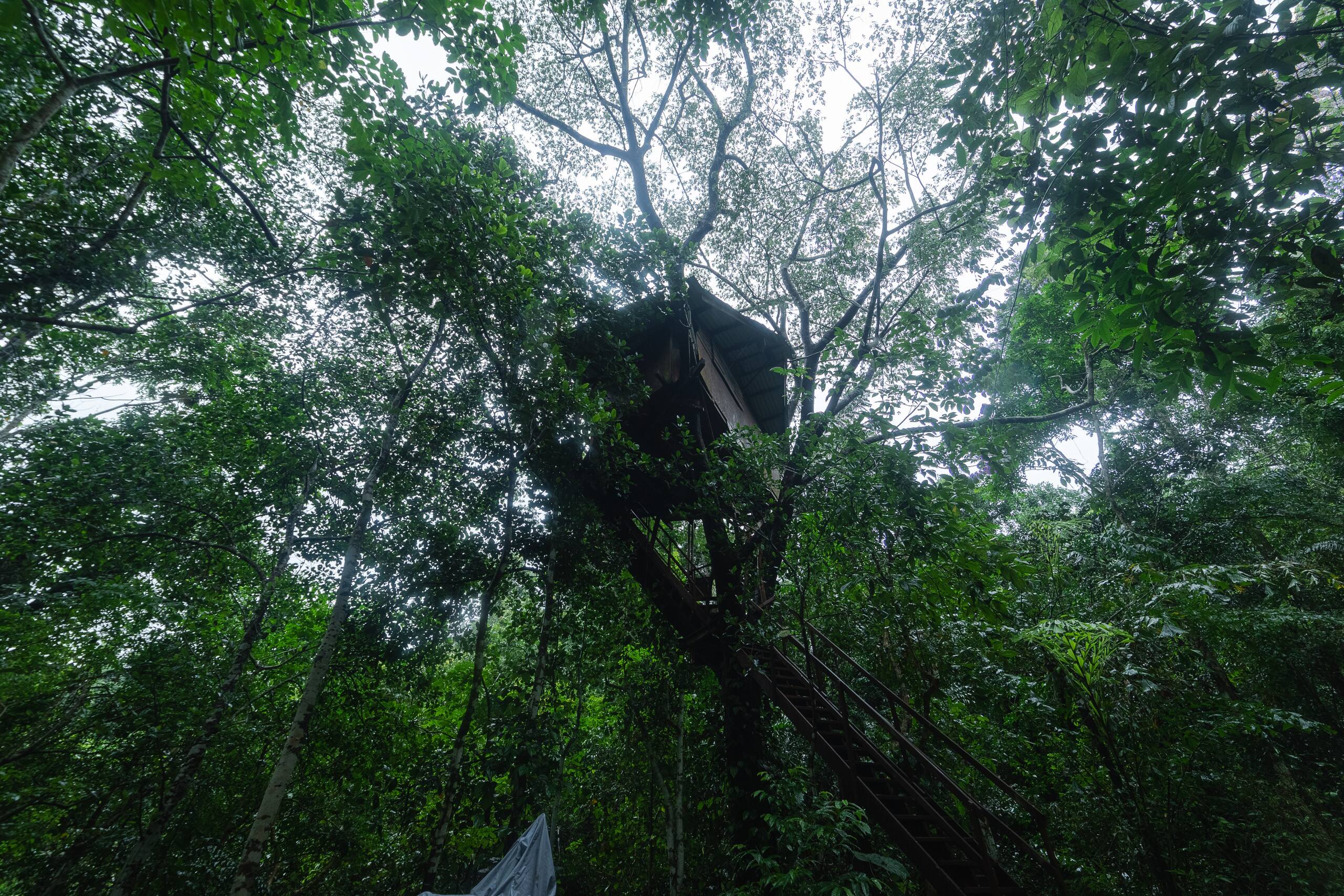 Varanashi Organic Farms | Eco-Tree House 13