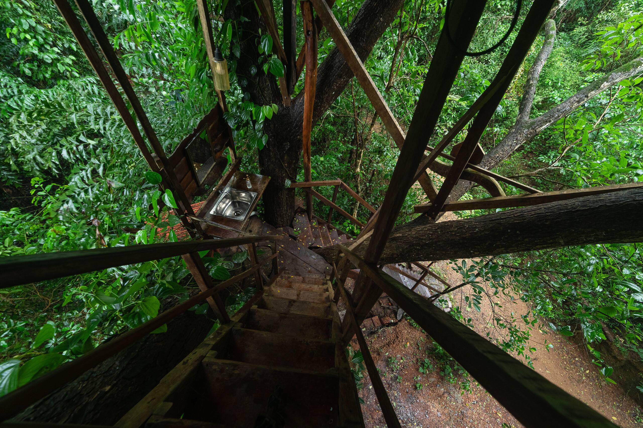 Varanashi Organic Farms | Eco-Tree House 12