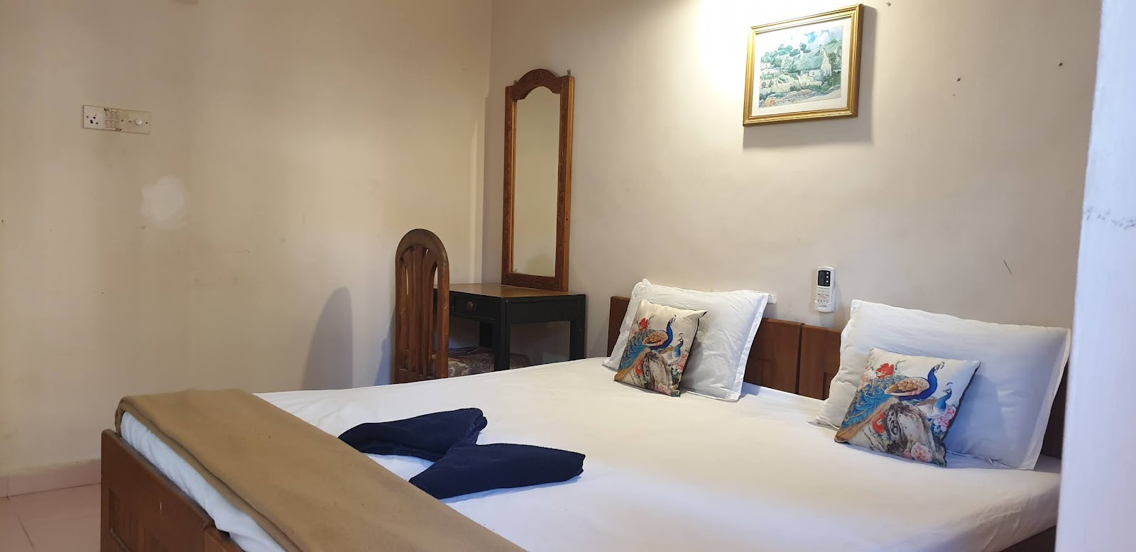 1 bhk Apt in Calangute/Candolim near the beach-2
