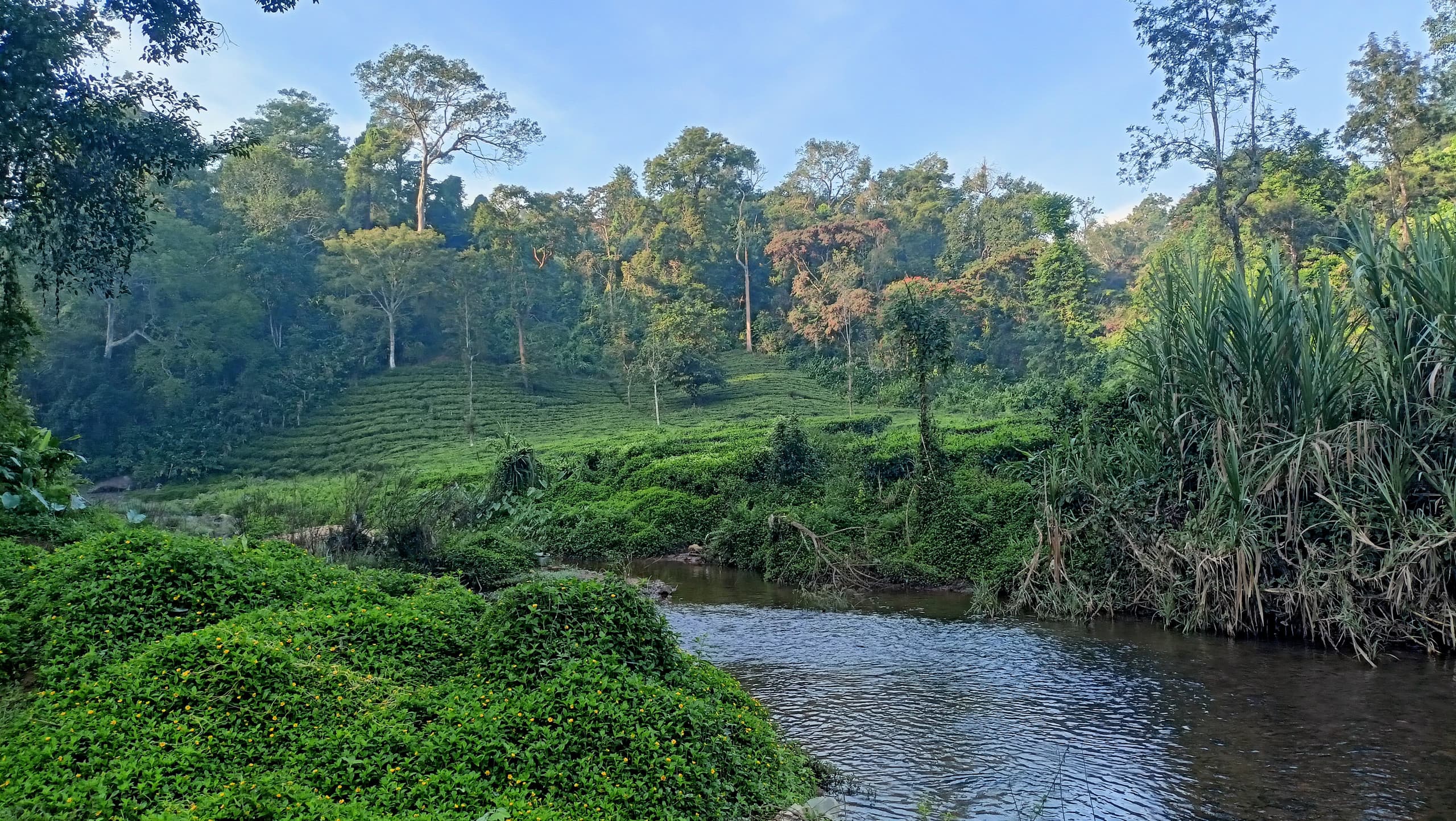 Raga Nature-Chulika river 3