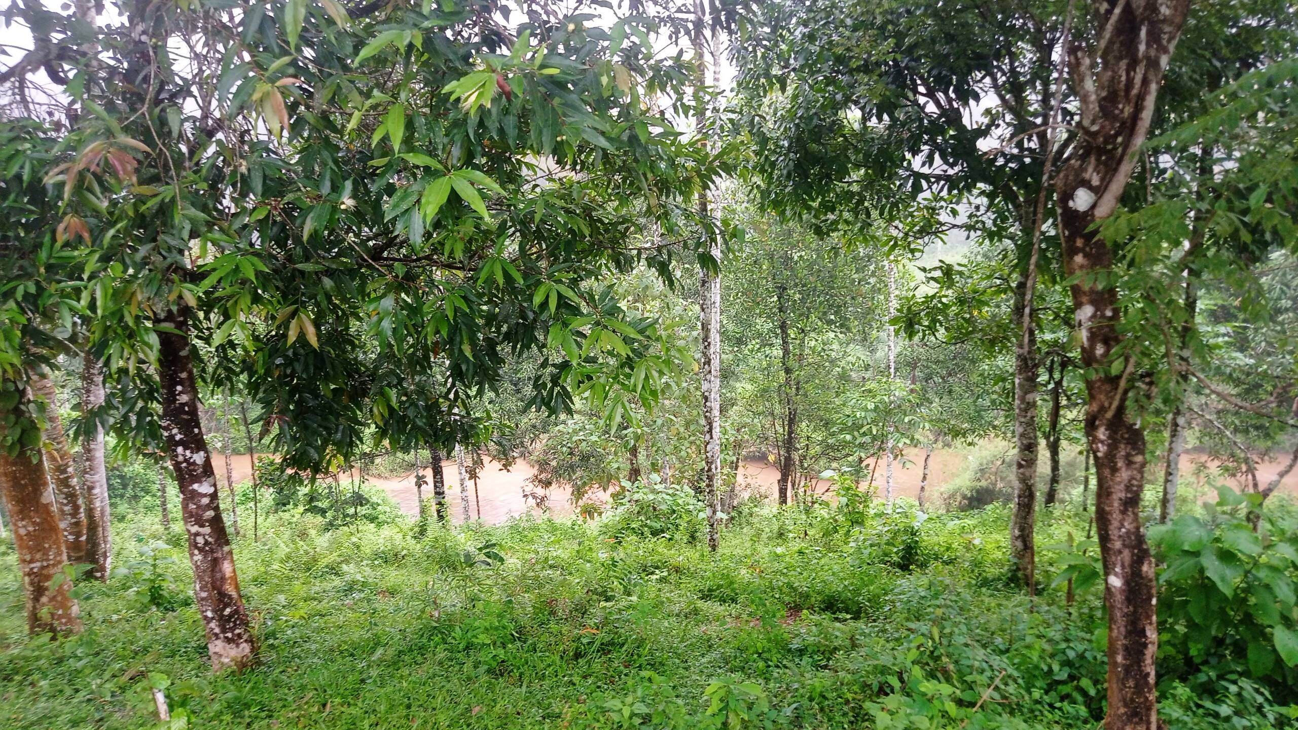 Raga Nature-Chulika river 33