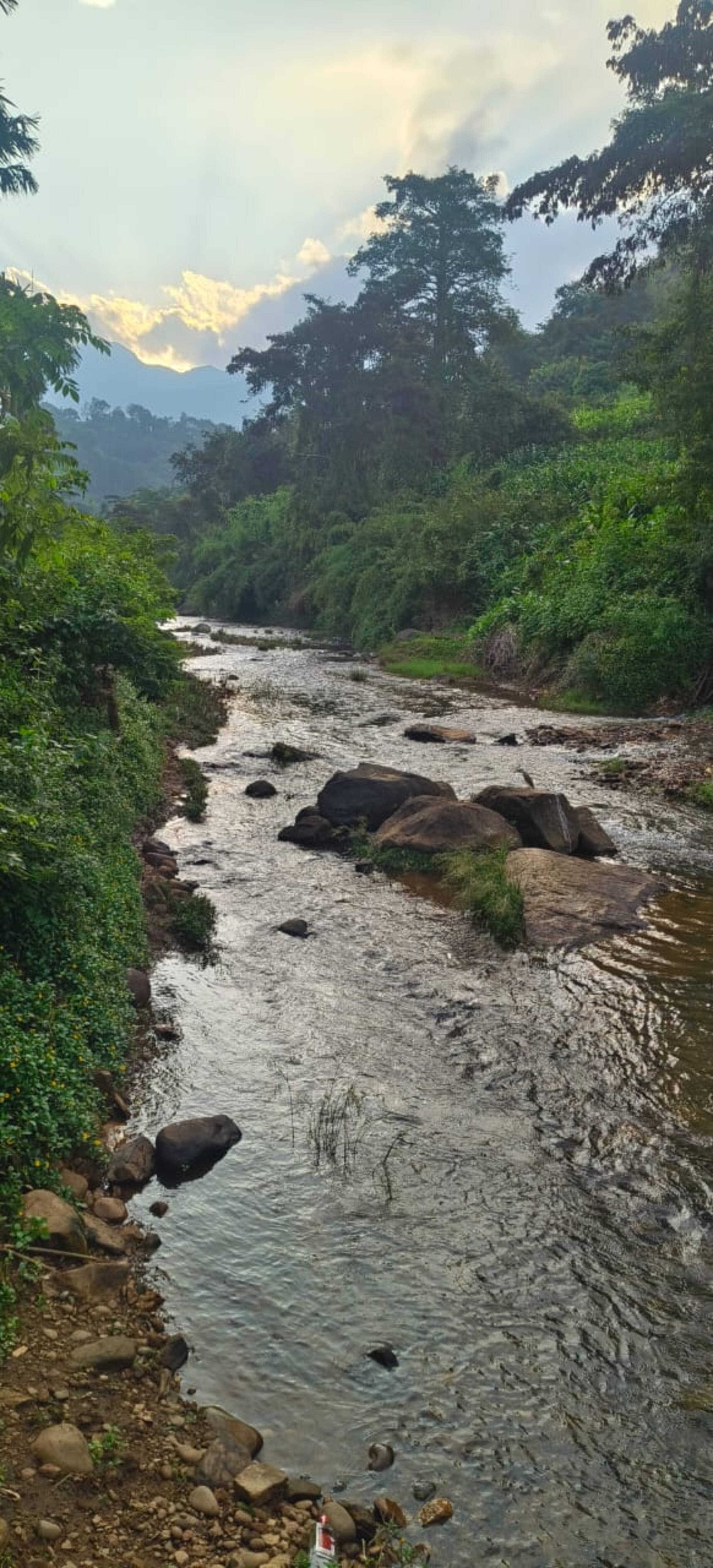 Raga Nature-Chulika river 27