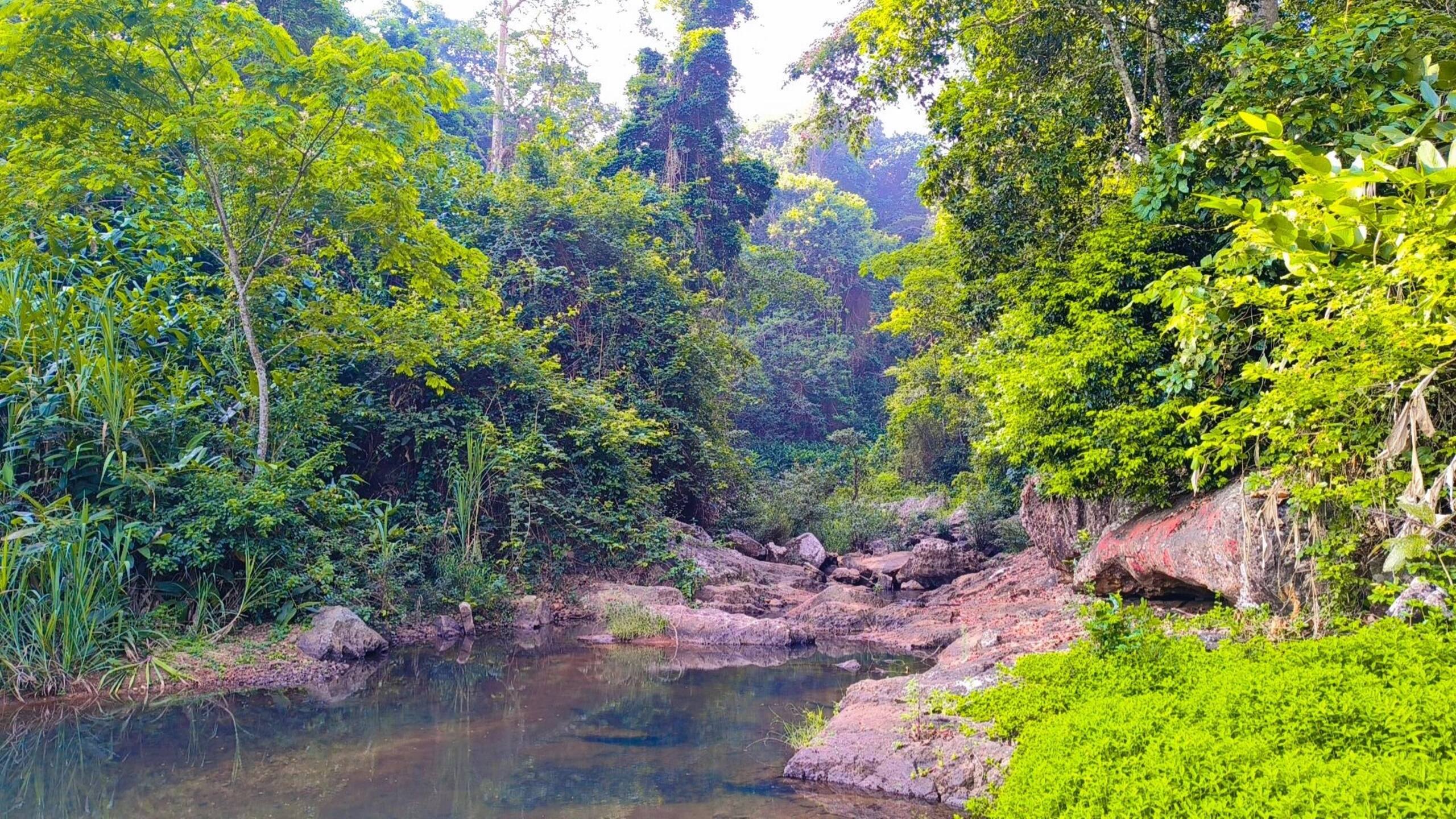 Raga Nature-Chulika river 6