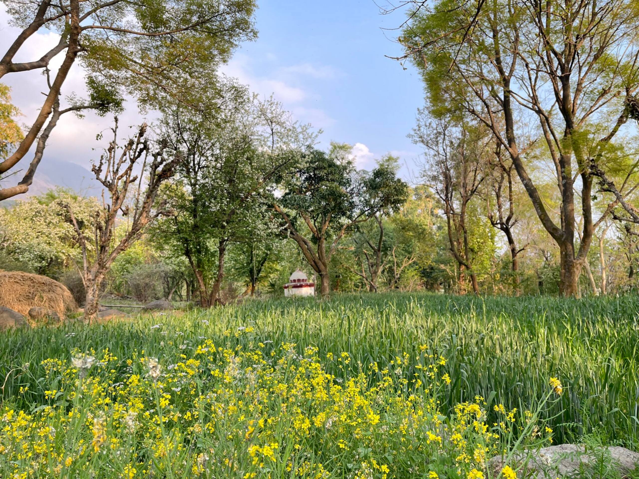 Ahmiyat - Cosy 2 bedroom Cottage in a Village 23