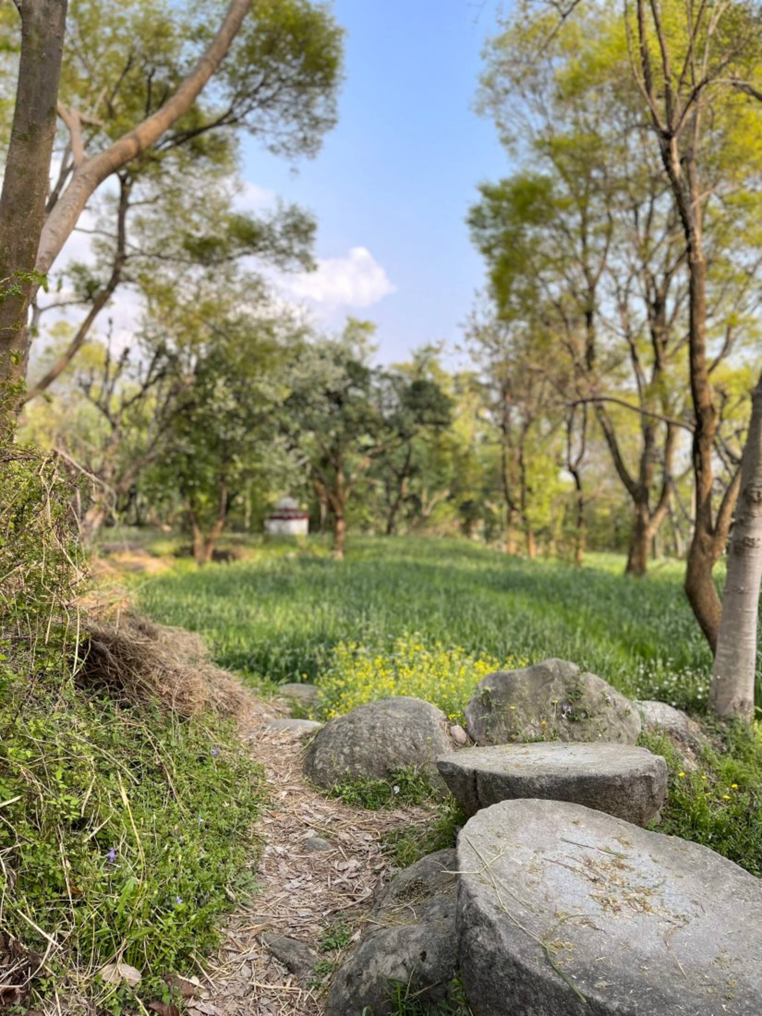 Ahmiyat - Cosy 2 bedroom Cottage in a Village 32