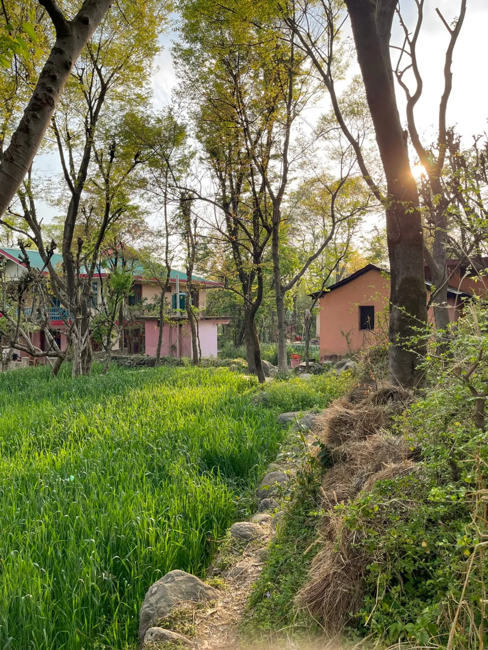 Ahmiyat - Cosy 2 bedroom Cottage in a Village 35