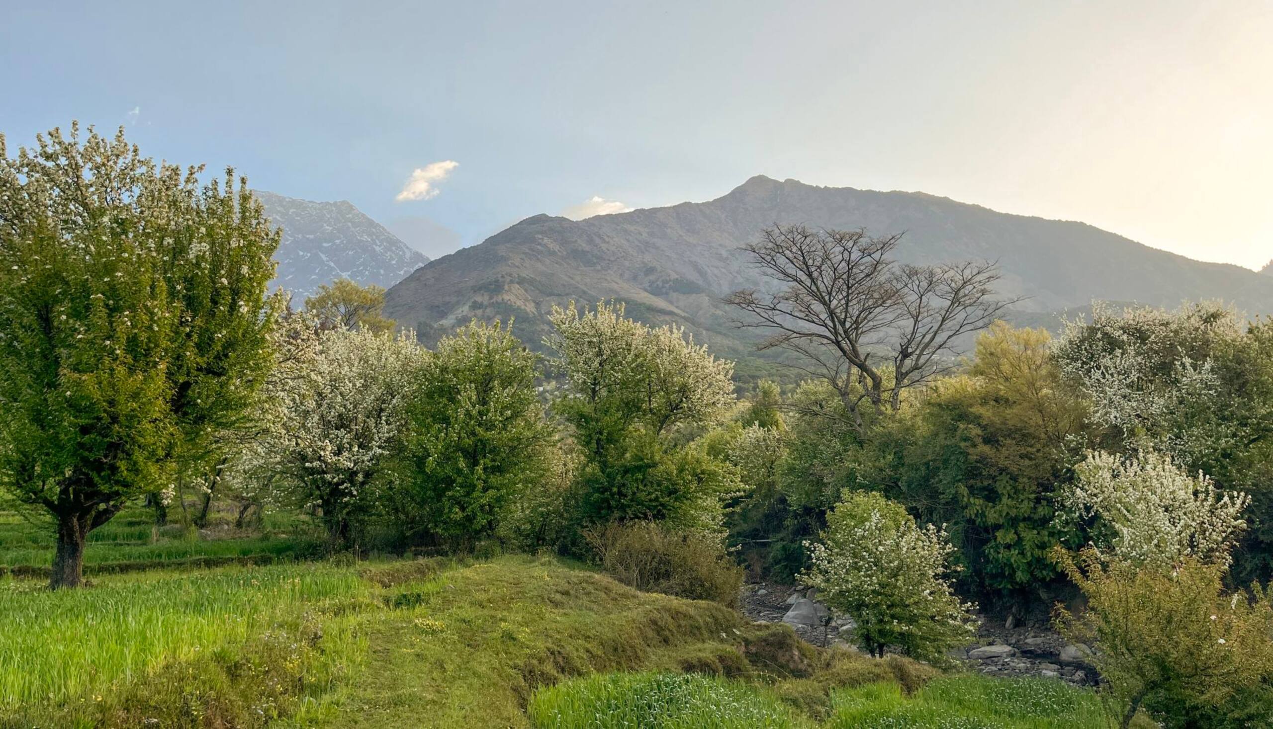 Ahmiyat - Cosy 2 bedroom Cottage in a Village 21