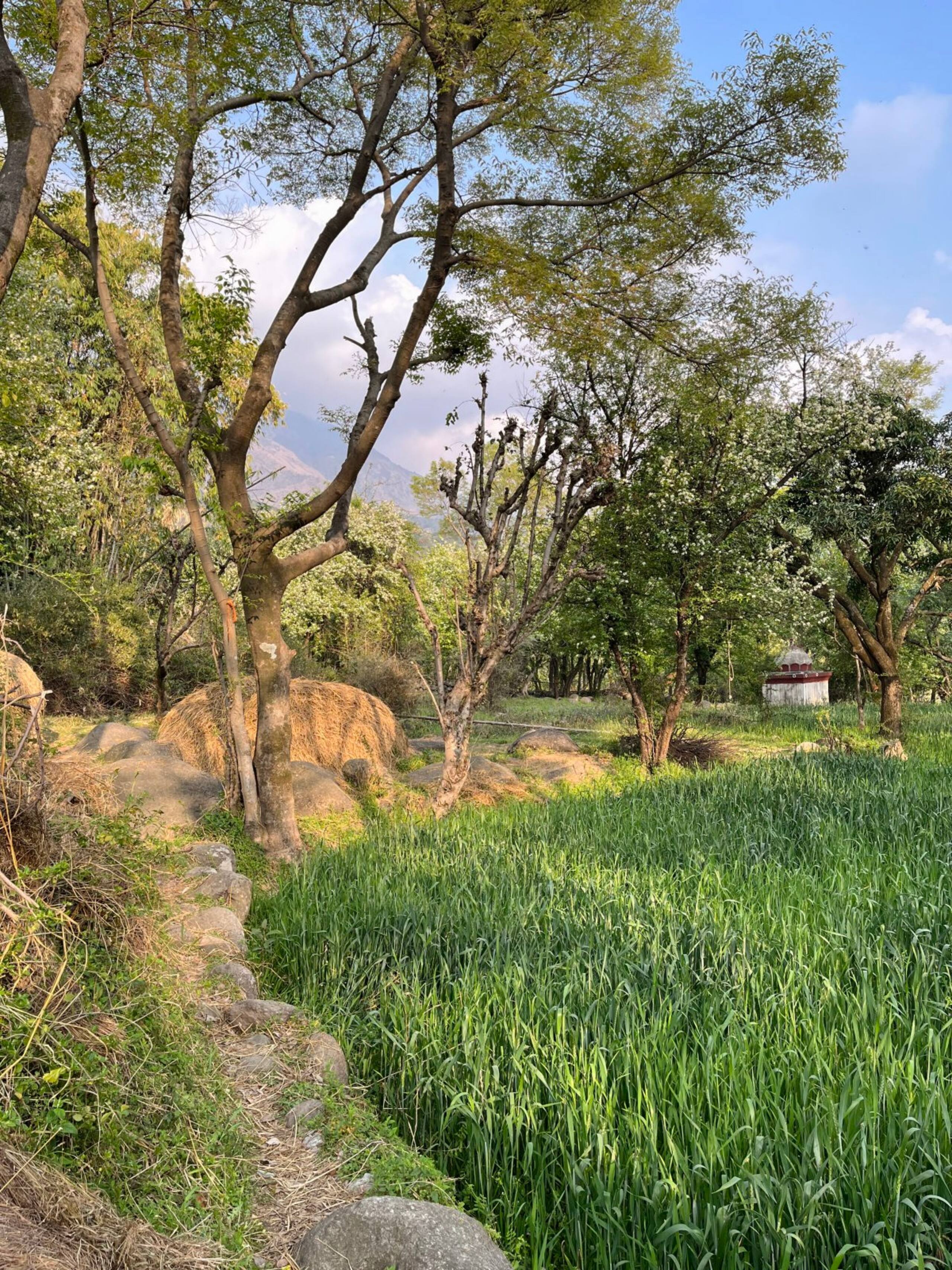 Ahmiyat - Cosy 2 bedroom Cottage in a Village 34