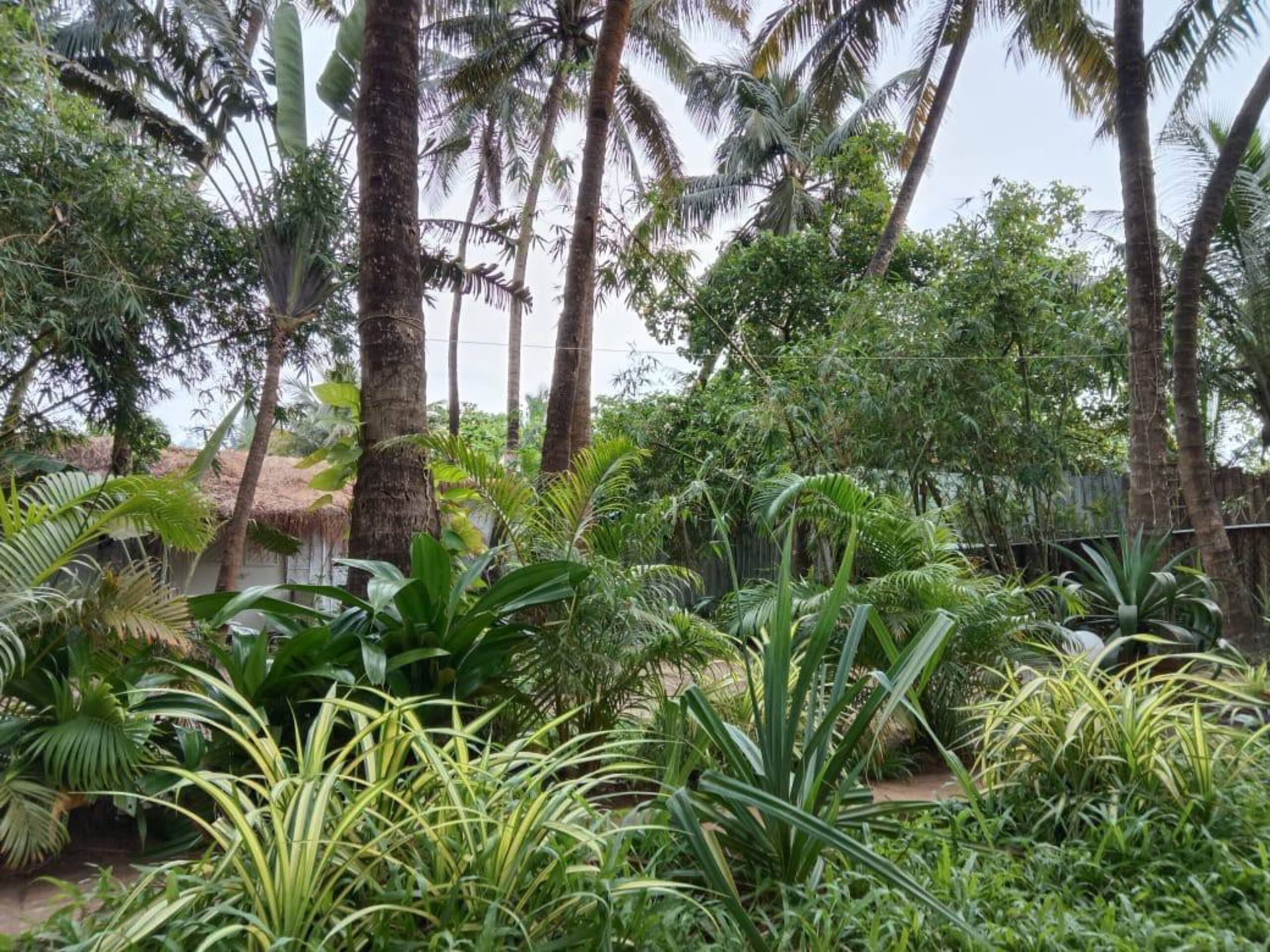 Exclusive oasis by the sea 22