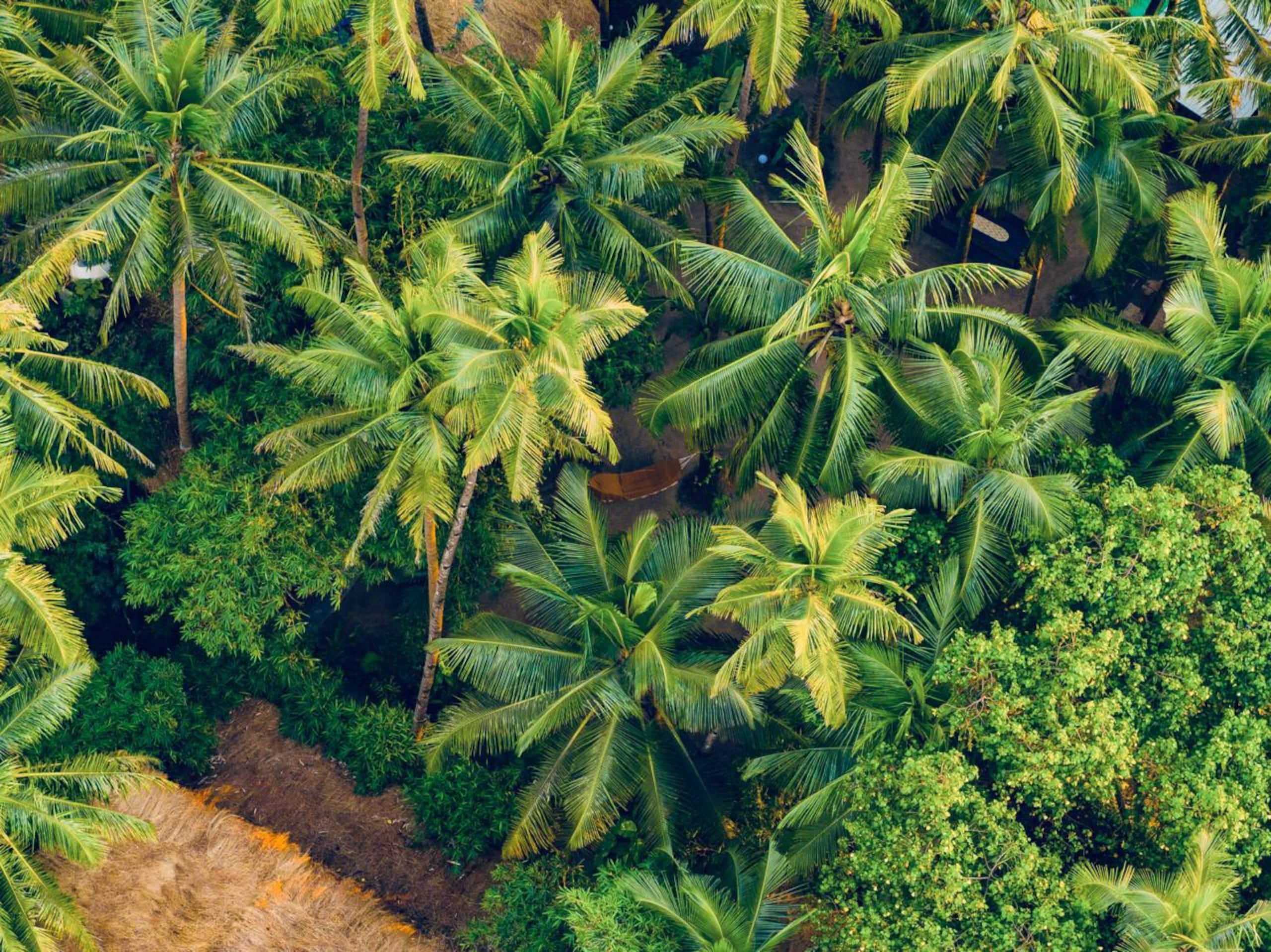 Exclusive oasis by the sea 28