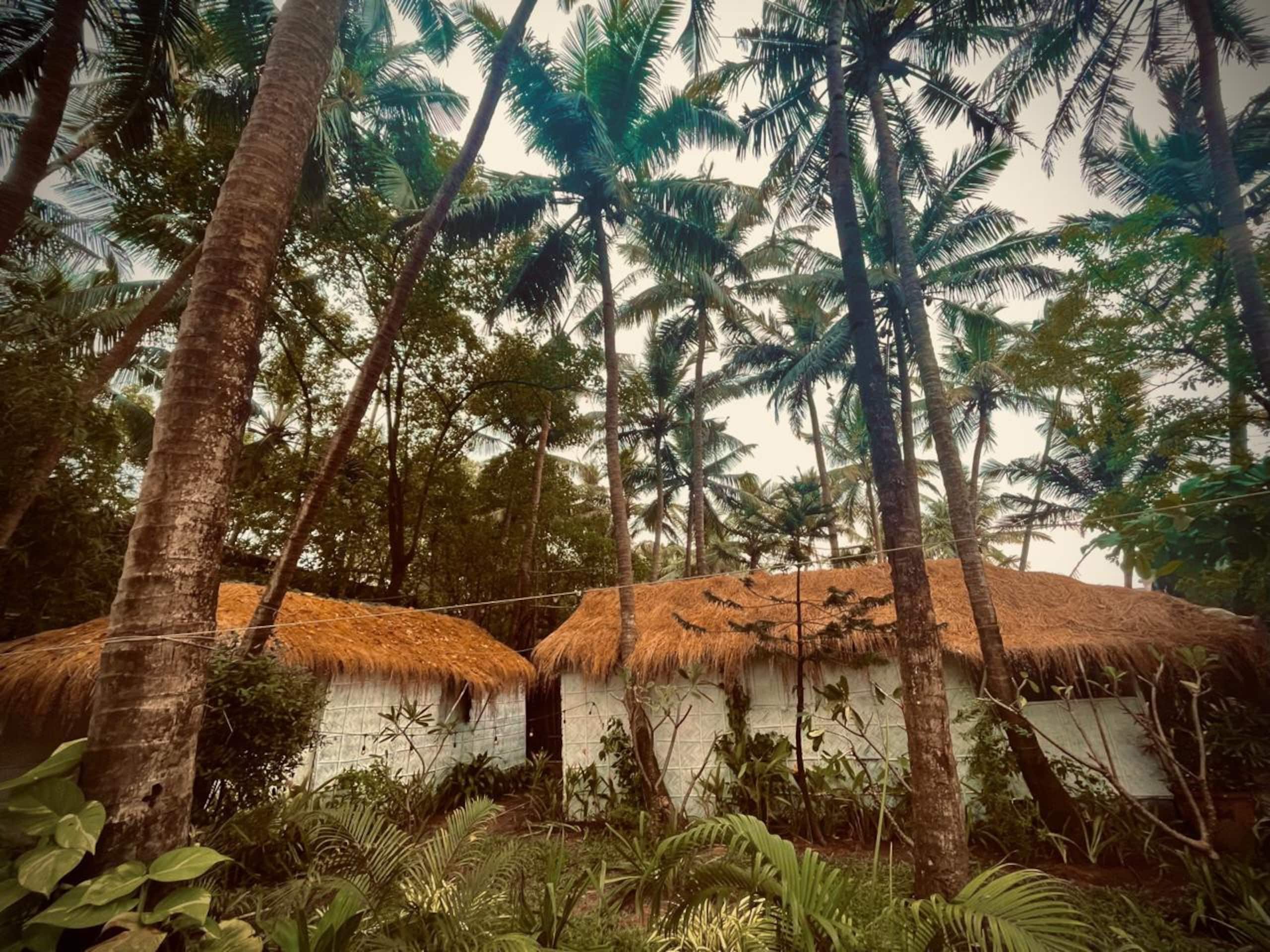 Exclusive oasis by the sea 27