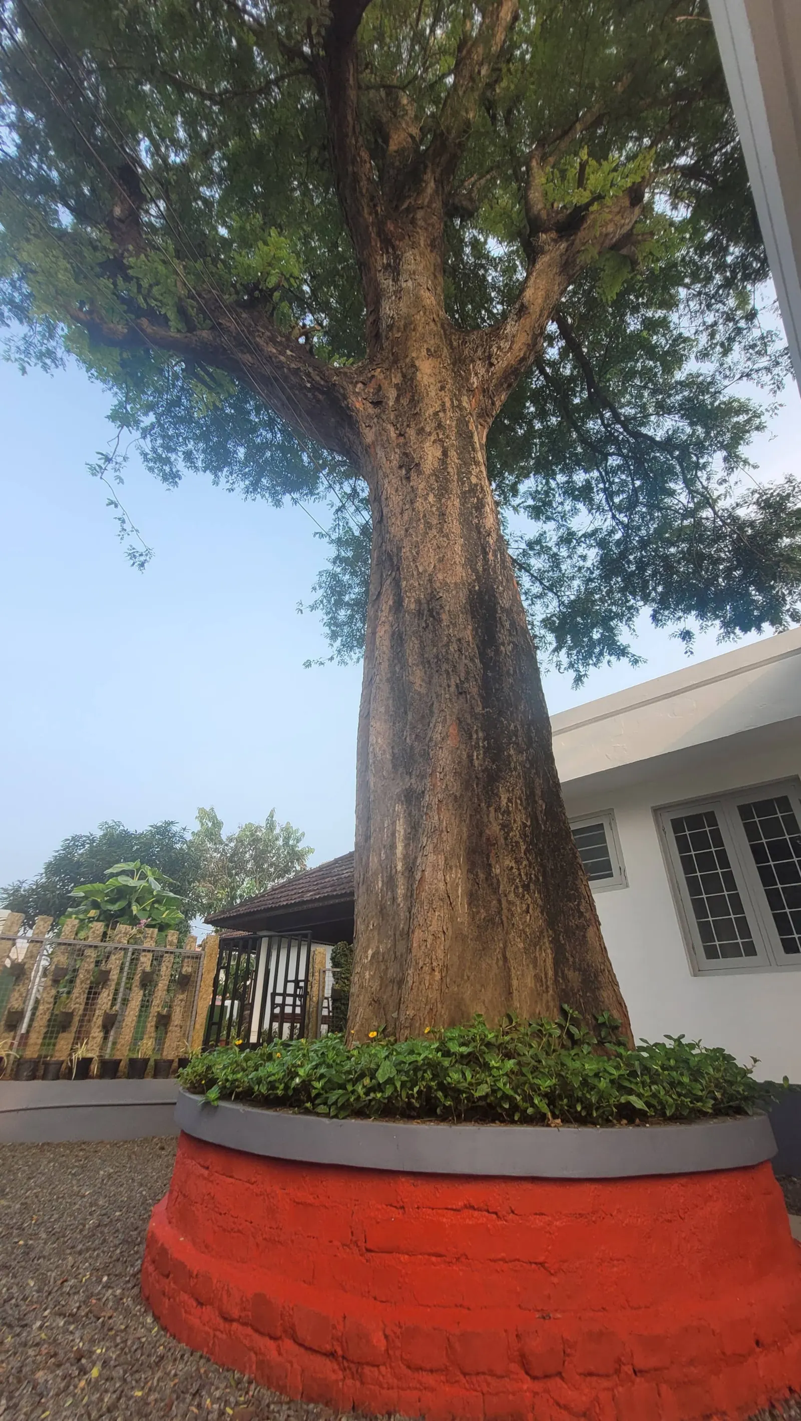 "Maya Aangan" House in Kottayam 27
