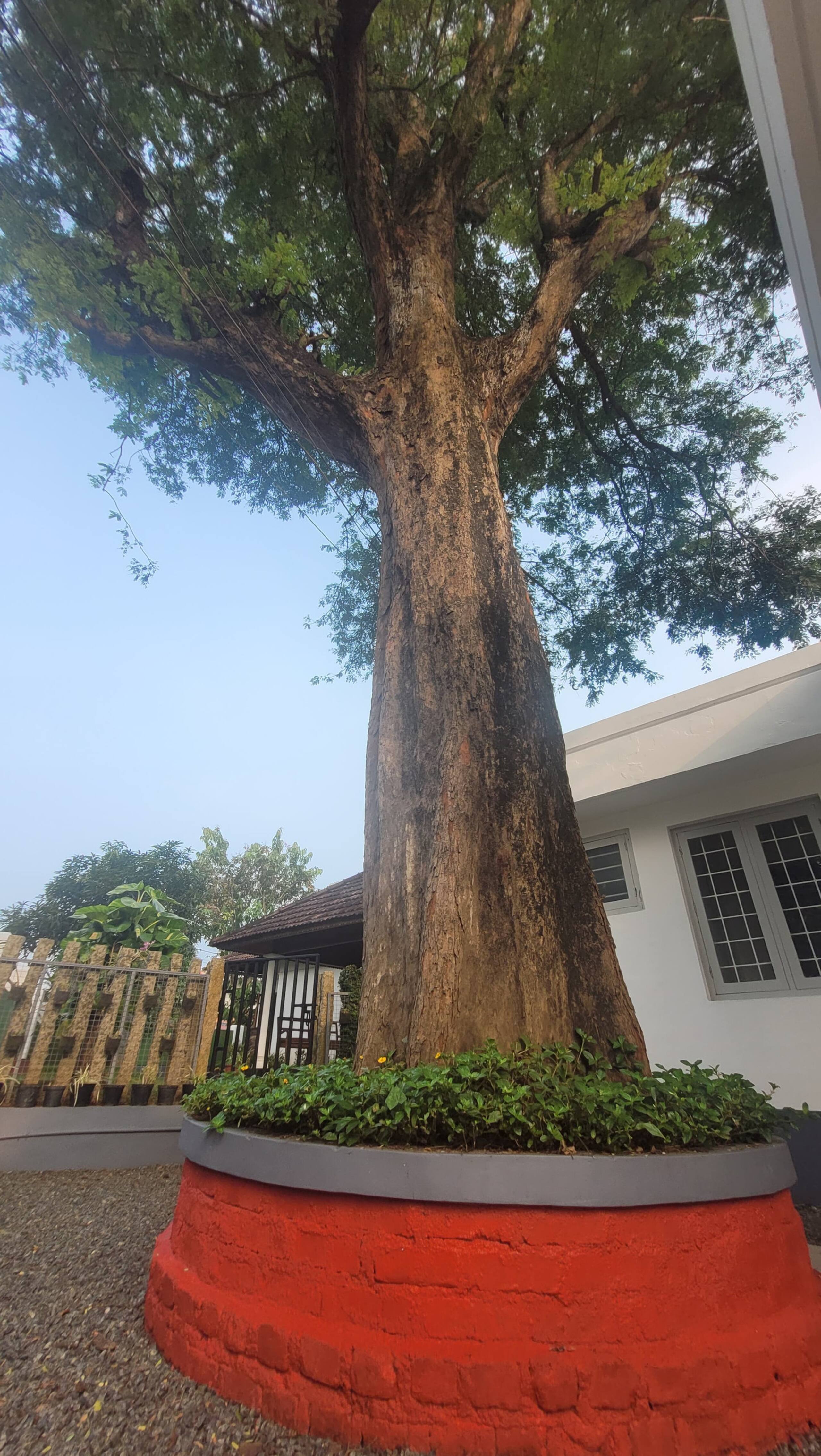 "Maya Aangan" House in Kottayam 27