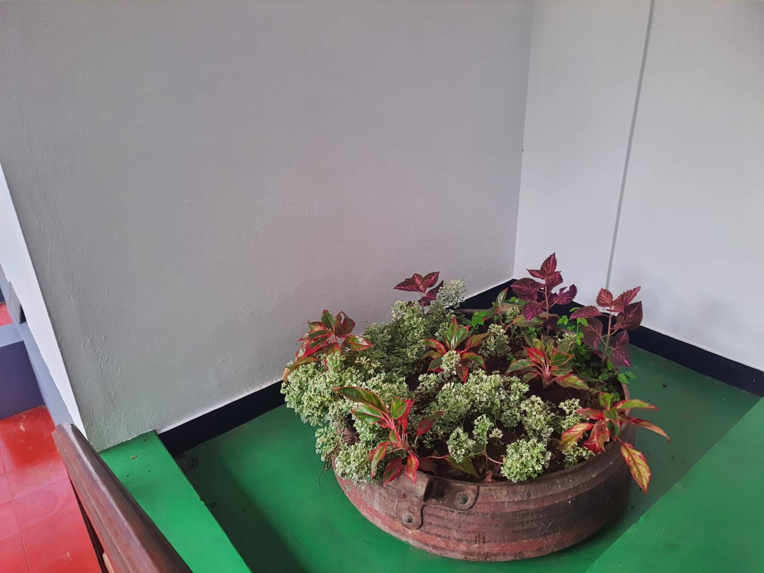 "Maya Aangan" House in Kottayam 30