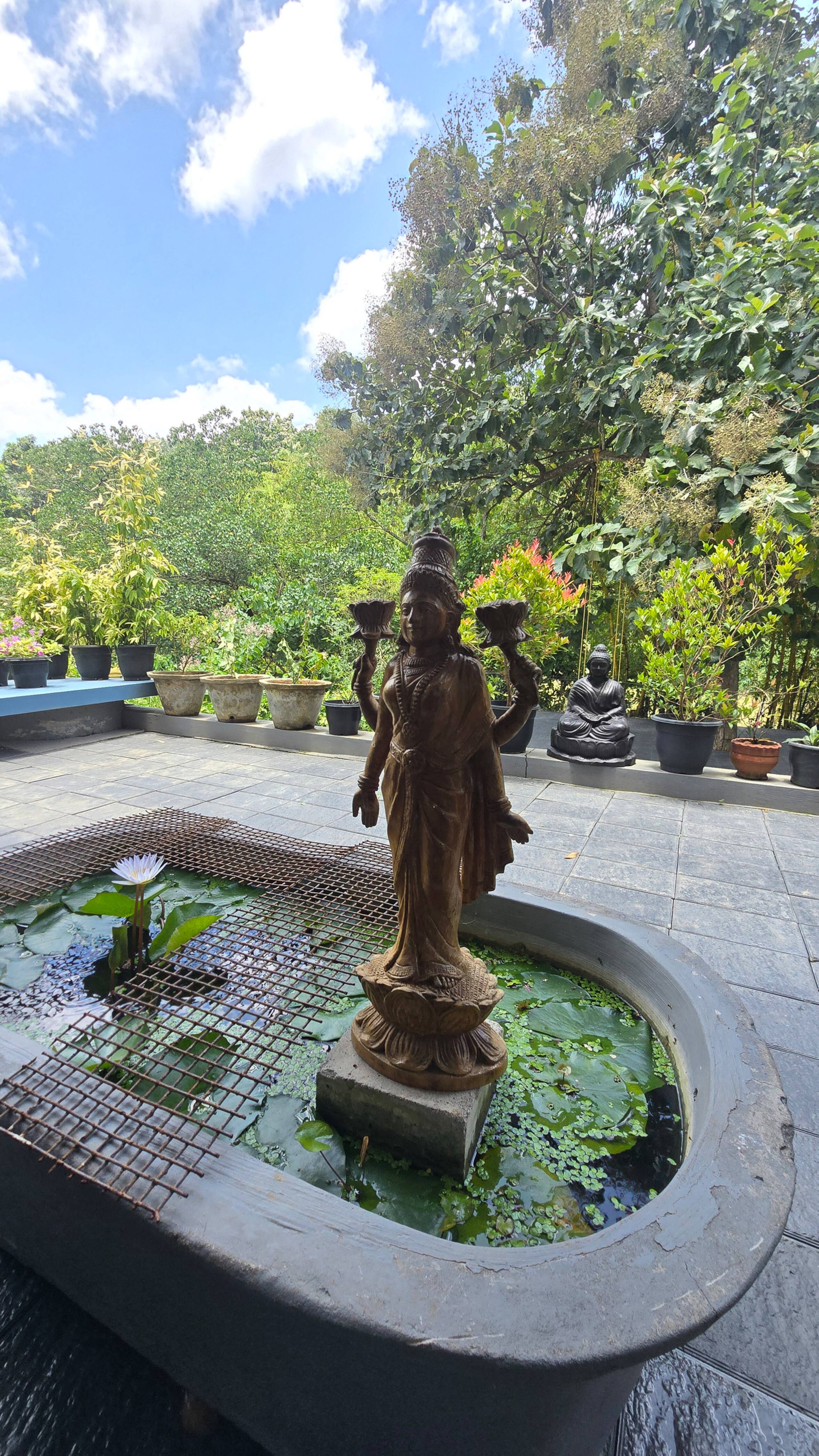 Riverine Stay with your Dreams 14