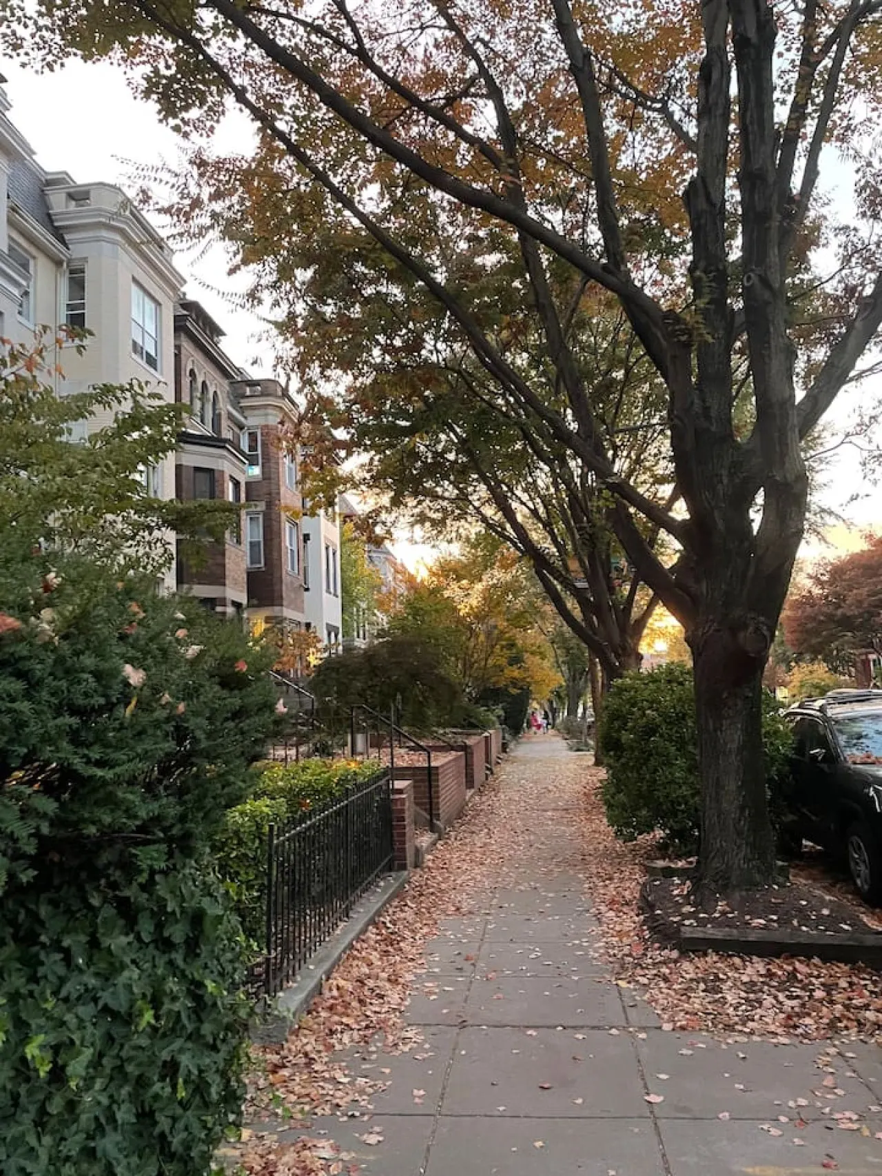 Sleeps 12 THREE Units In Central Adams Morgan 18