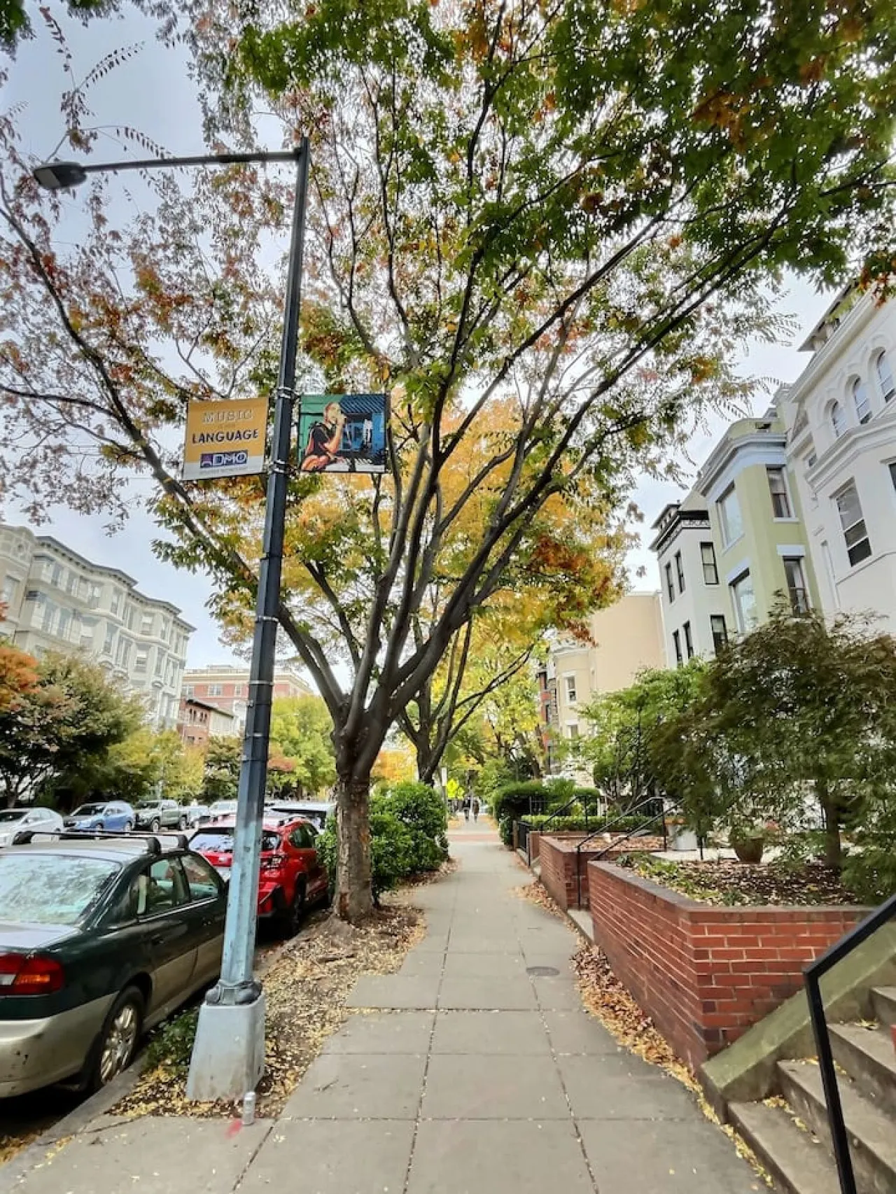 Sleeps 12 THREE Units In Central Adams Morgan 19