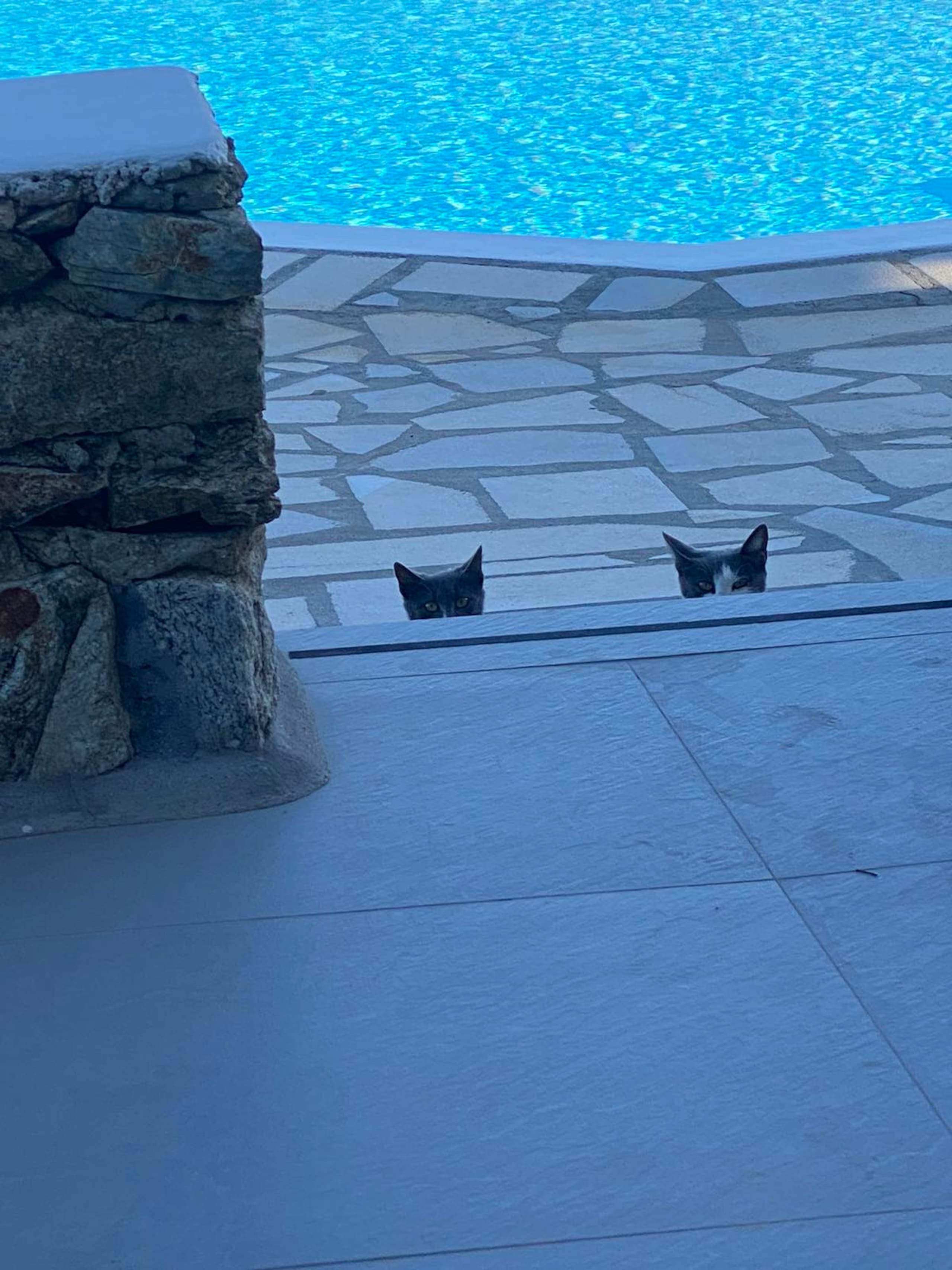 Cavo blue Family villa 4 shared pool 35
