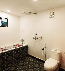 Casa Aaboli : Cozy Homestay With Pool, Palolem Goa 6