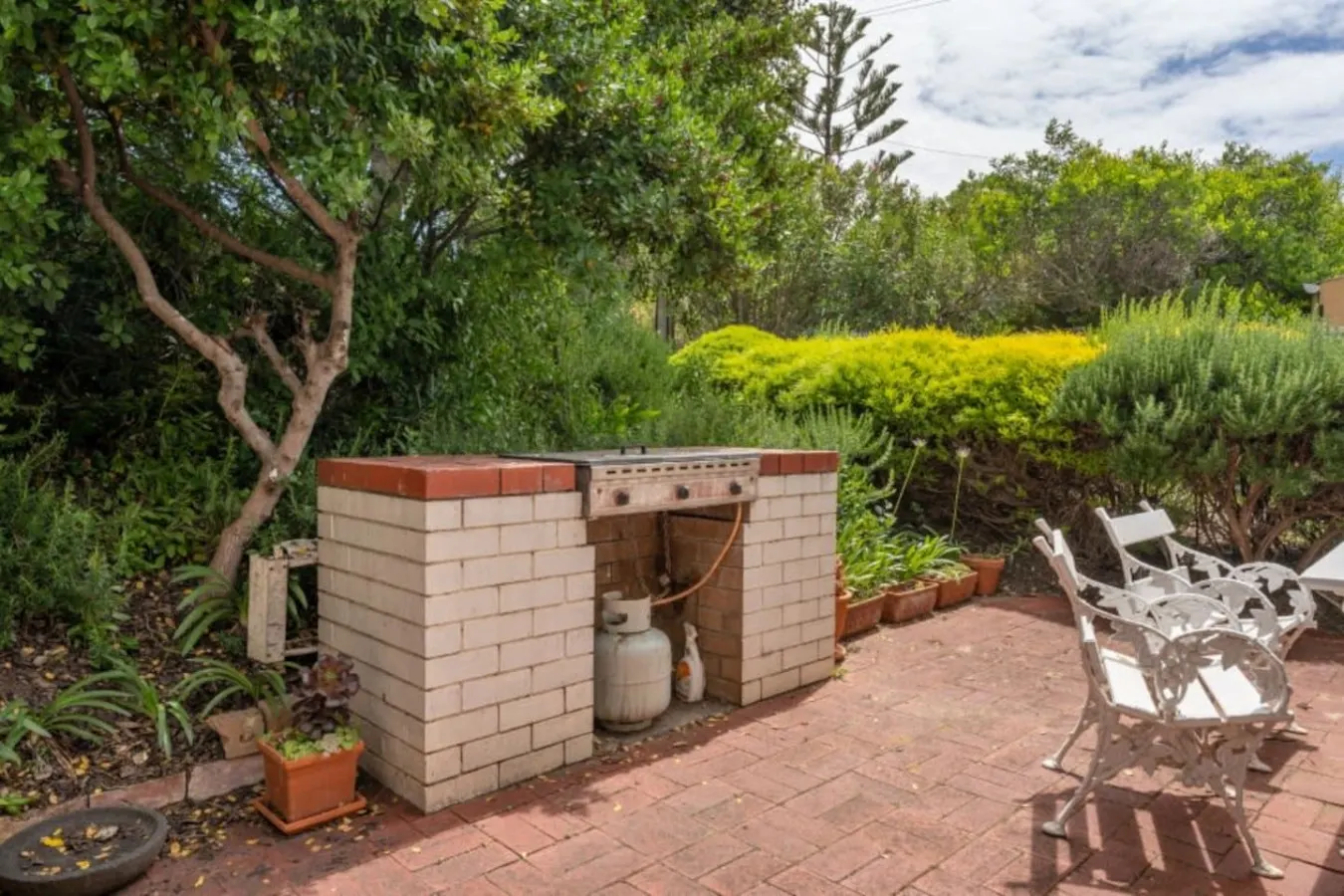 Chiton On The Rocks—A Breezy Beachfront Escape 17