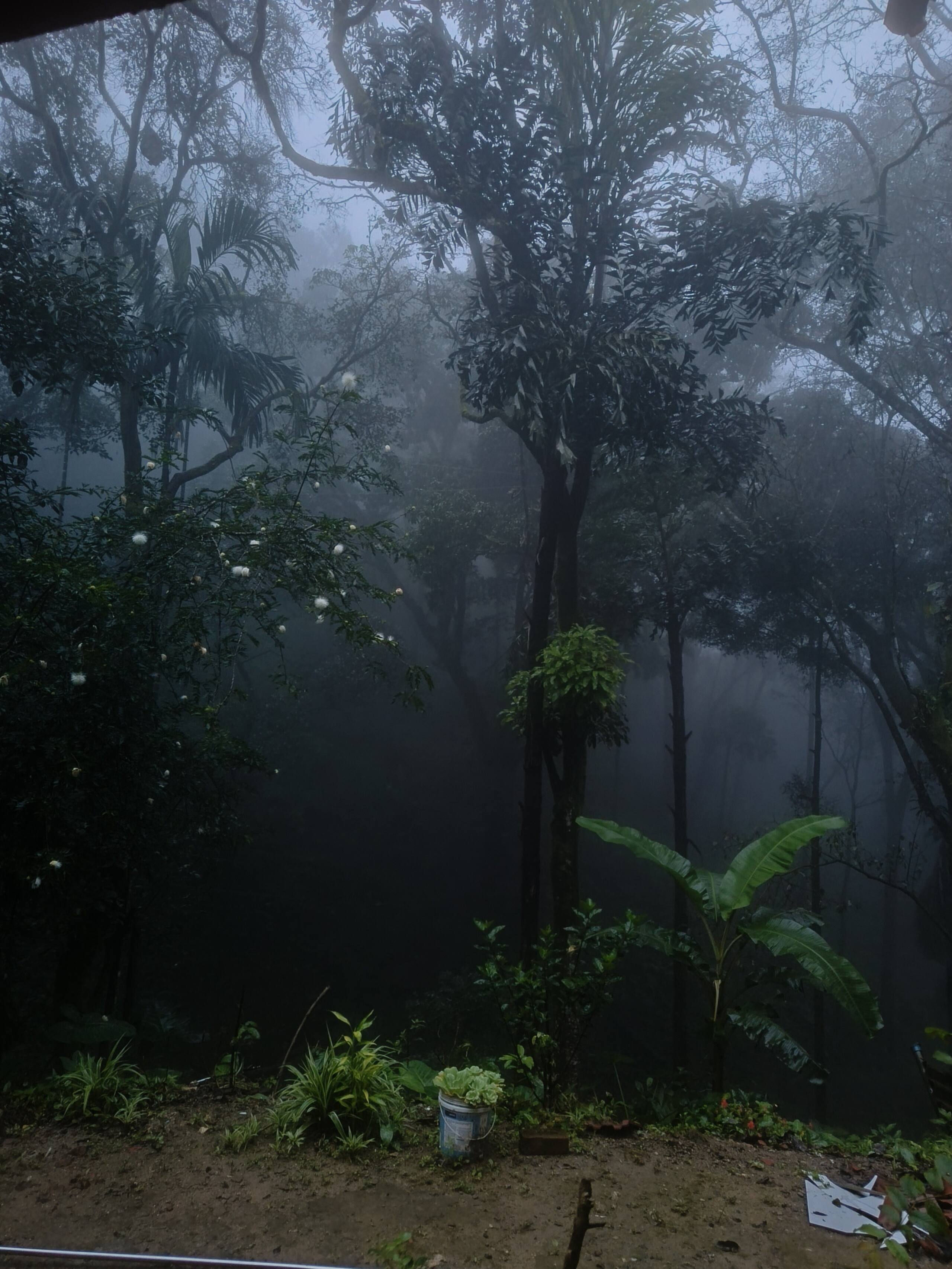 Reevilla Estate stay 36
