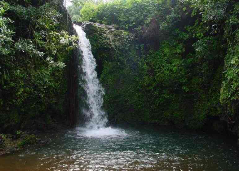 George's Beachview Homestay 14