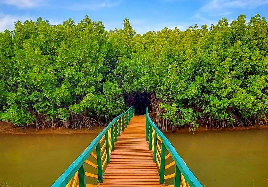 George's Beachview Homestay 15