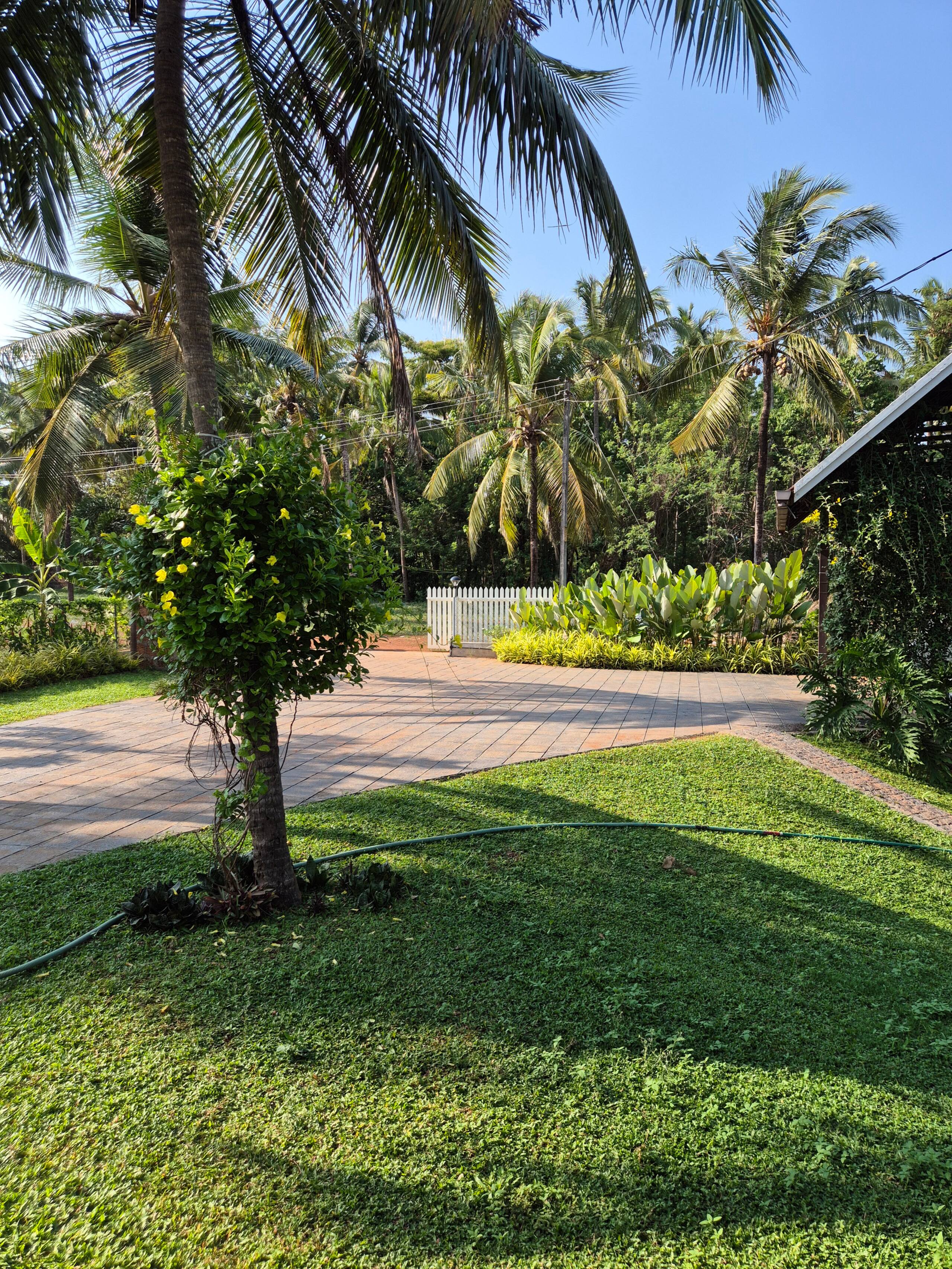 Jolly's Nature Home | AC Rooms | Private backyard 4