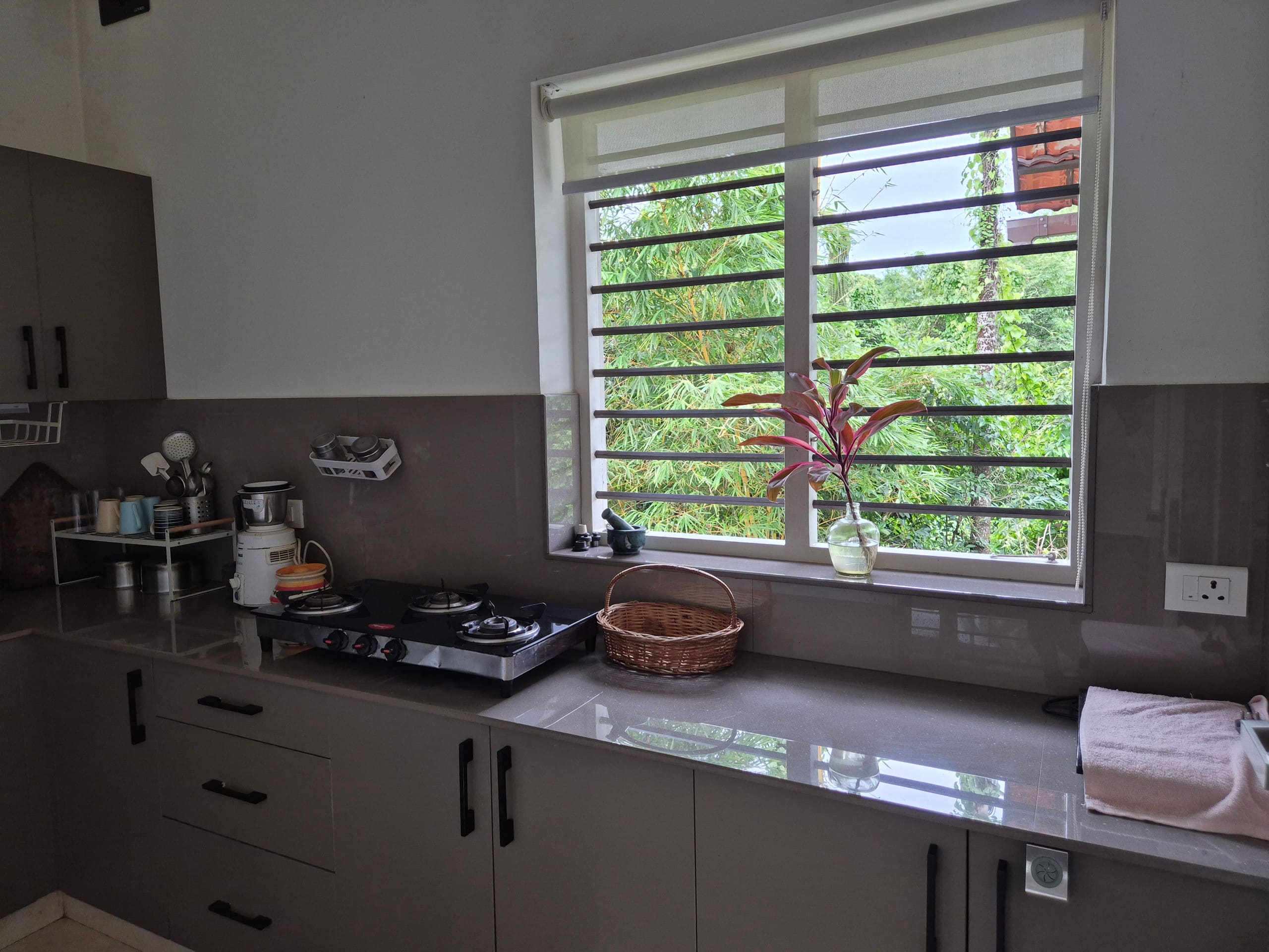 Jolly's Nature Home | AC Rooms | Private backyard 13