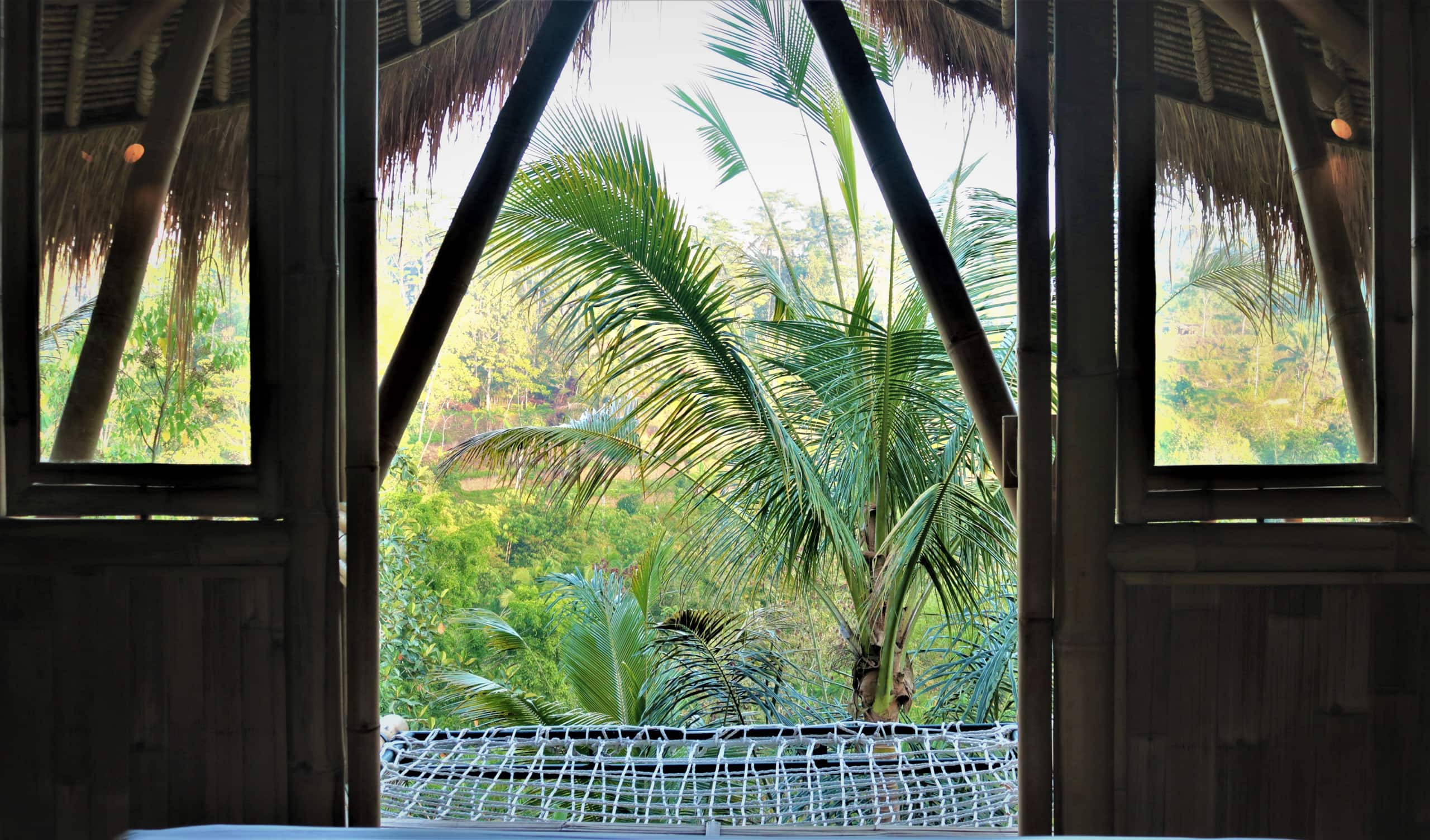 Escape in Bali 19