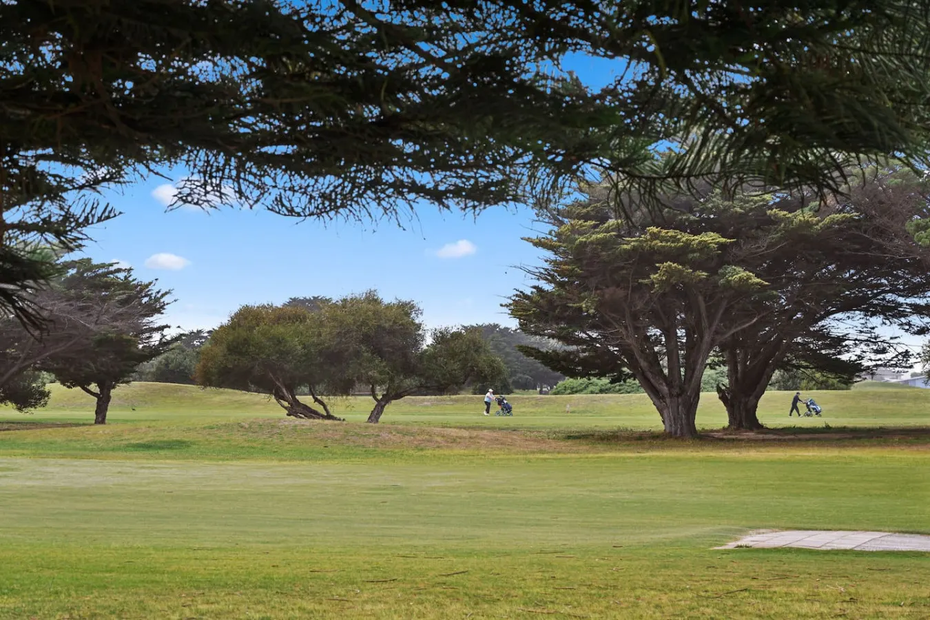Fairview Greens—A Refined Golf Course Retreat 17