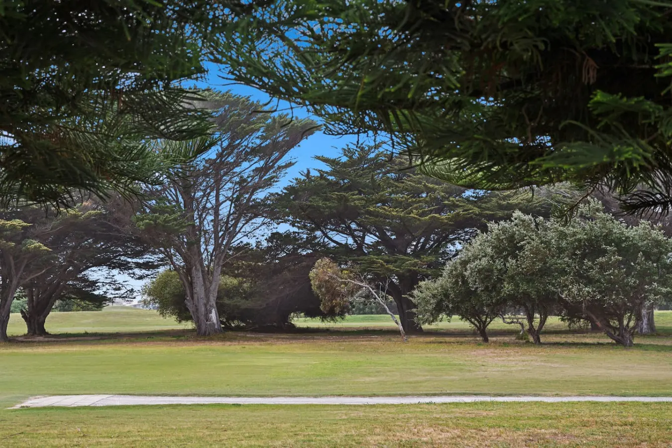 Fairview Greens—A Refined Golf Course Retreat 18