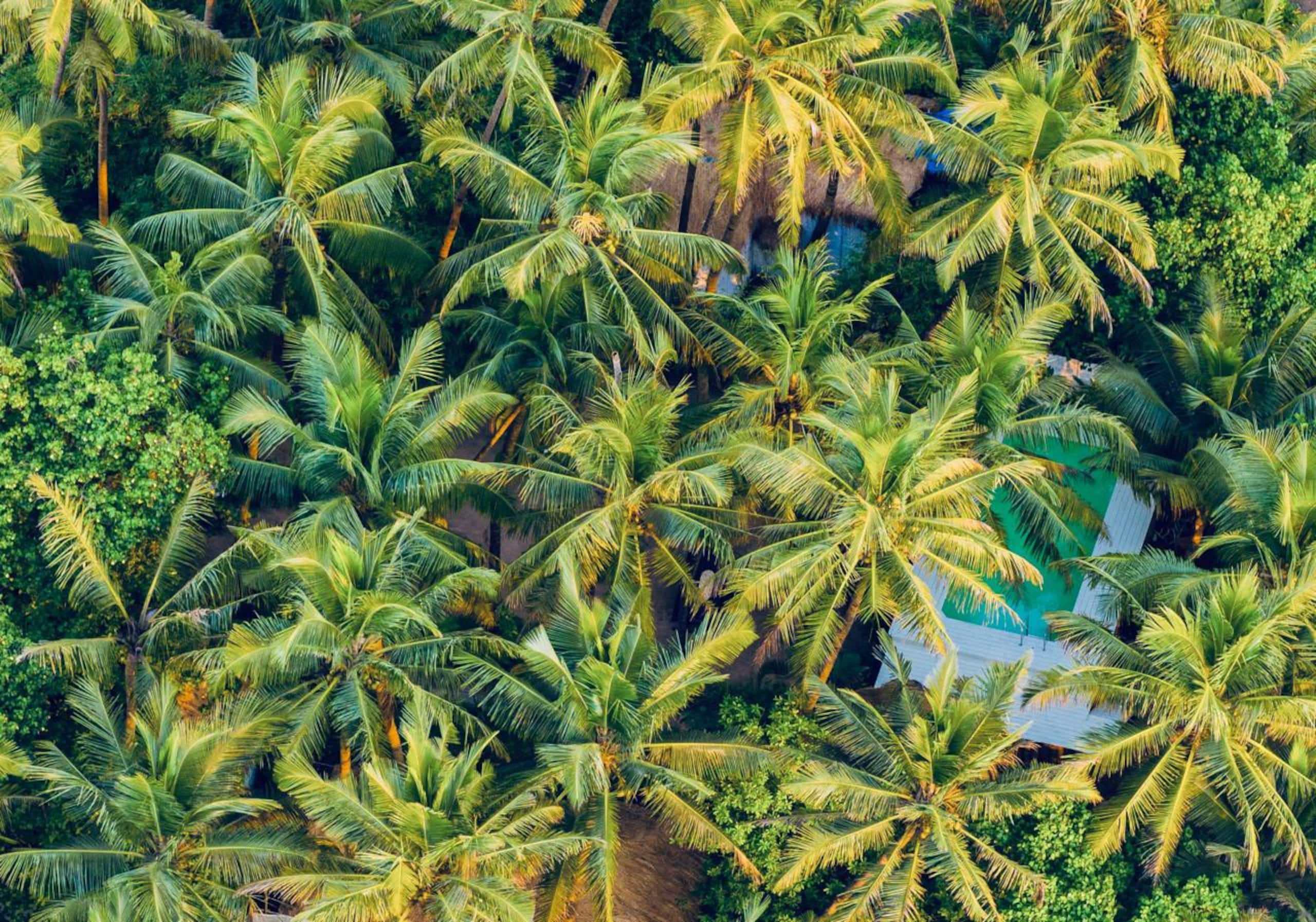 Exclusive oasis by the sea — photo 3