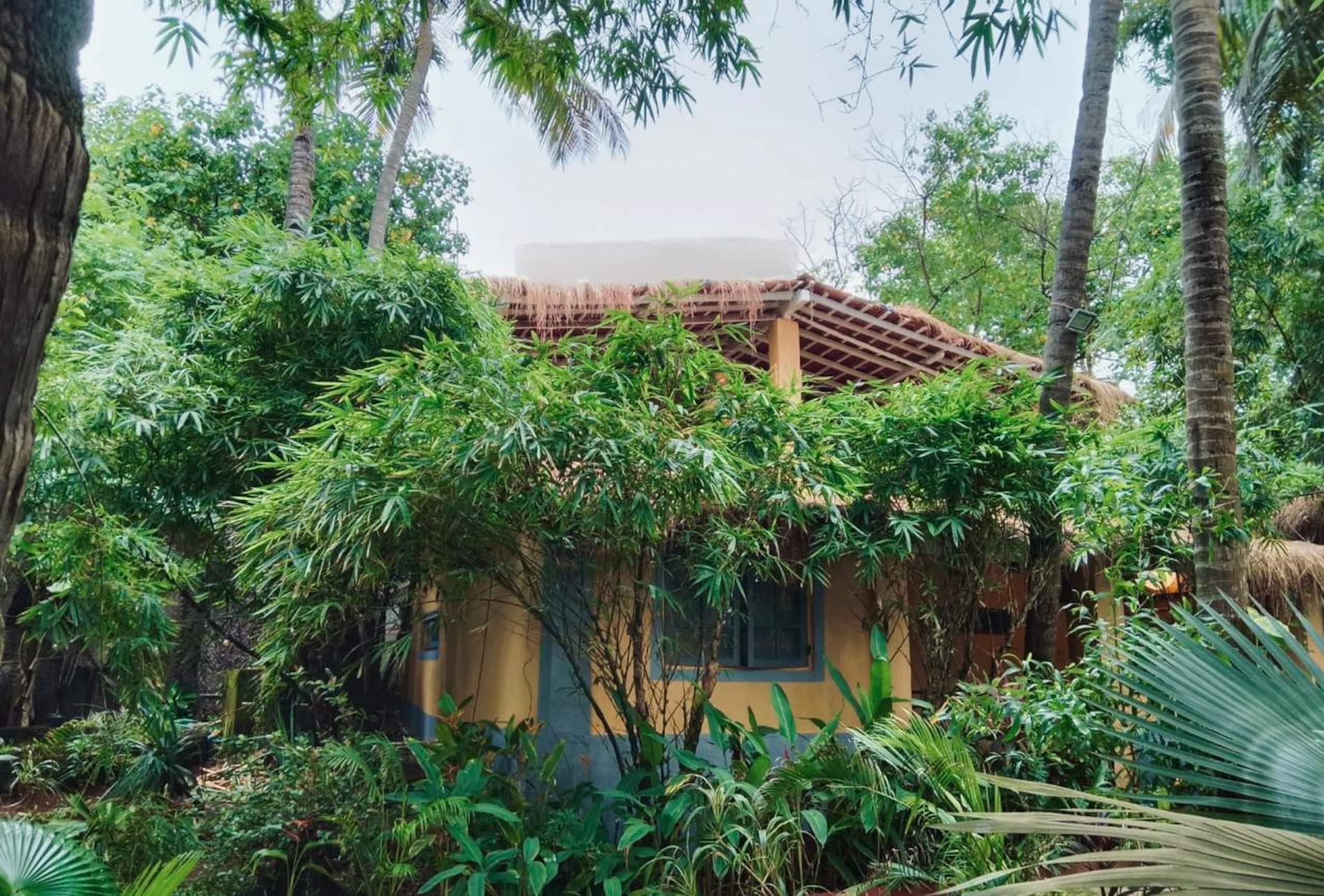 Exclusive oasis by the sea — photo 4