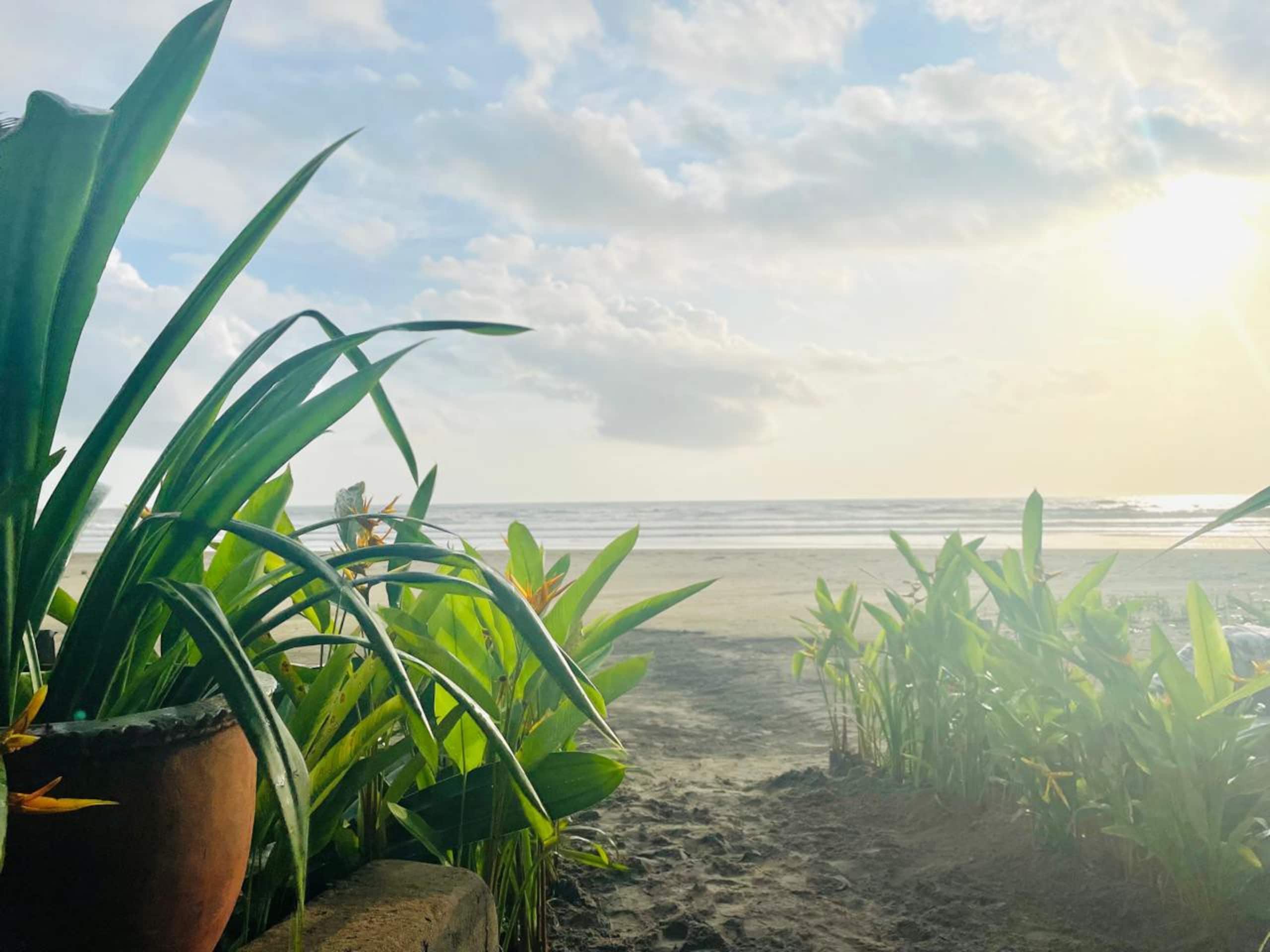 Exclusive oasis by the sea — photo 2
