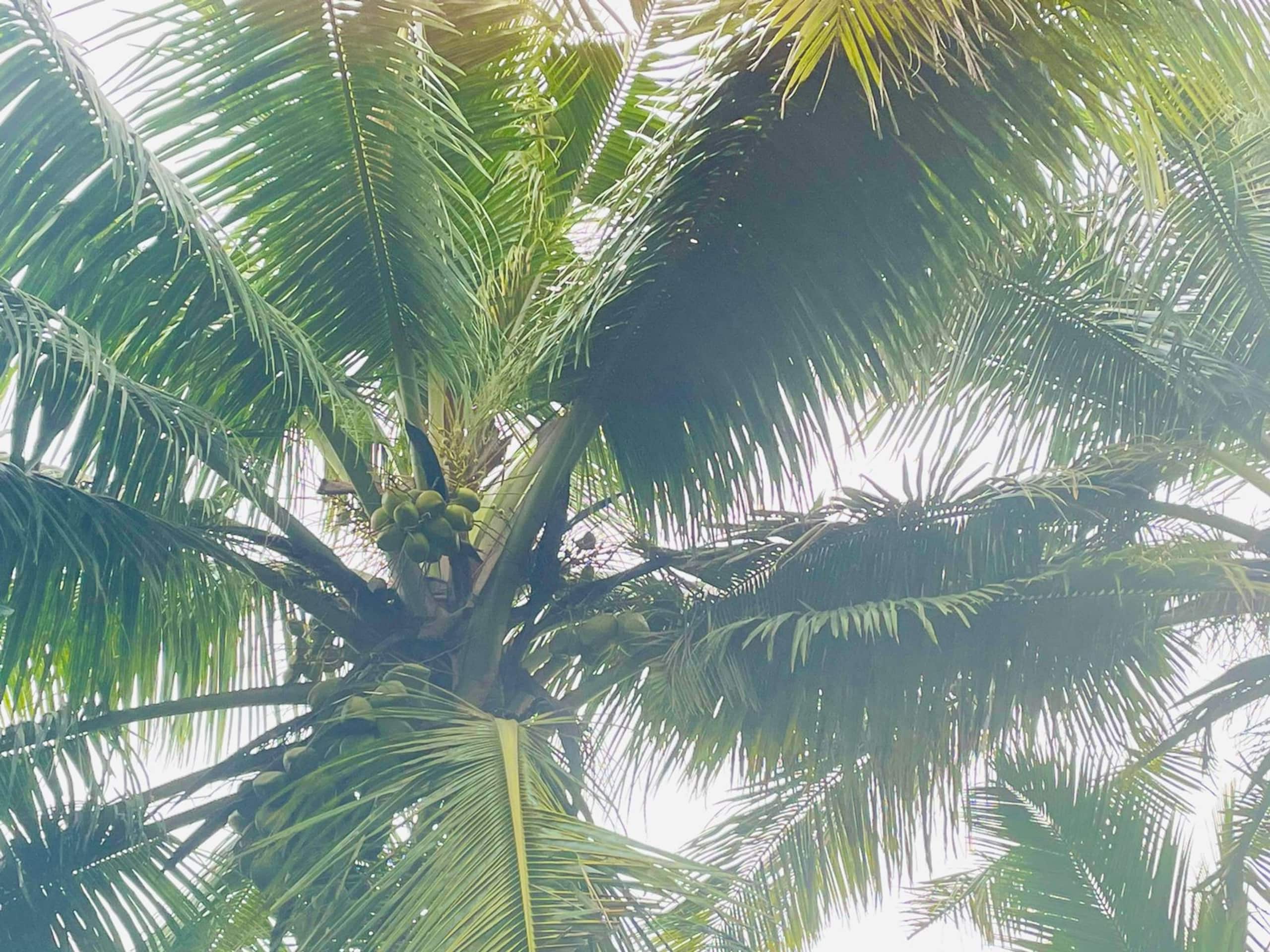 Exclusive oasis by the sea 21